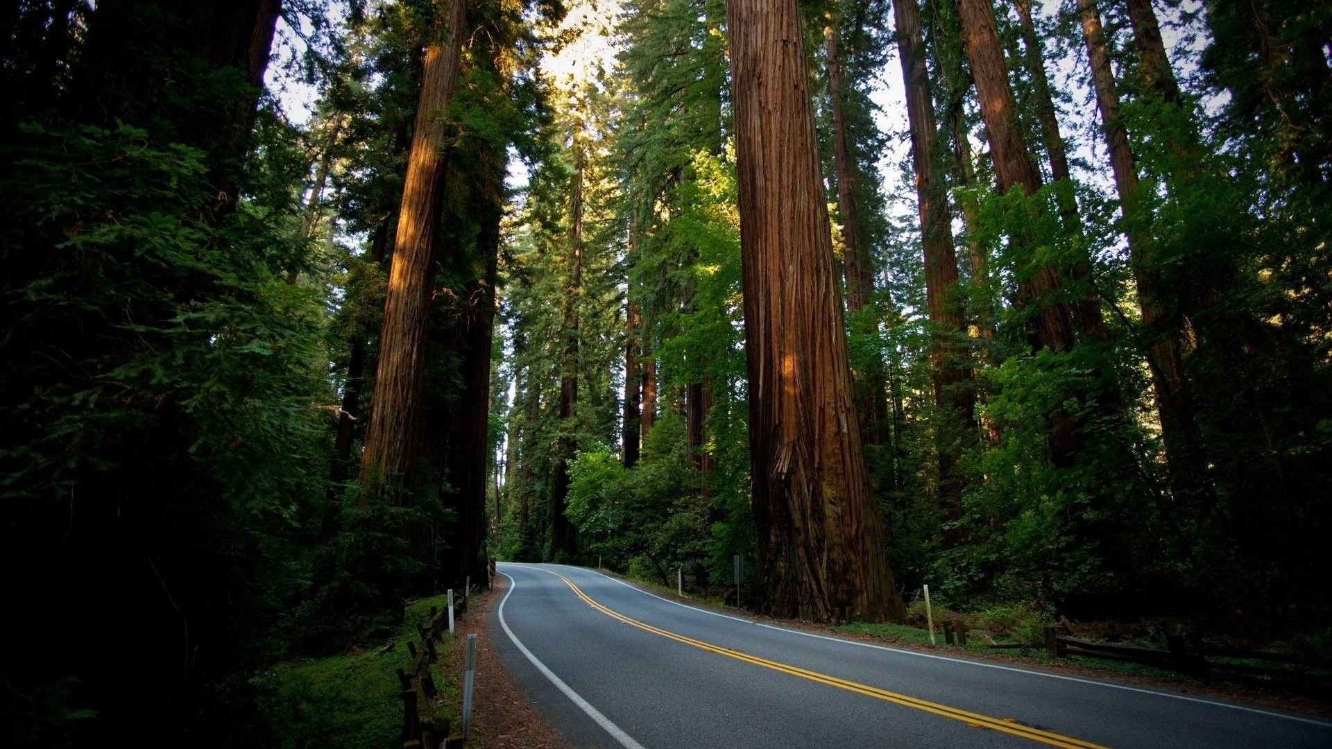 15 mejores fondos de pantalla de naturaleza en 4K y Full HD para escritorio y dispositivos móviles