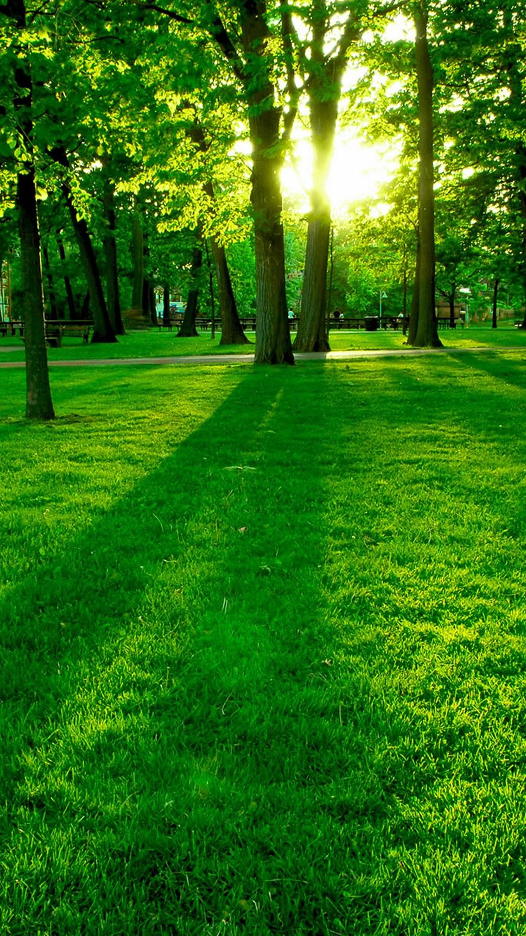 Spring Nature Wallpaper Android - 2019 fondos de pantalla de Android