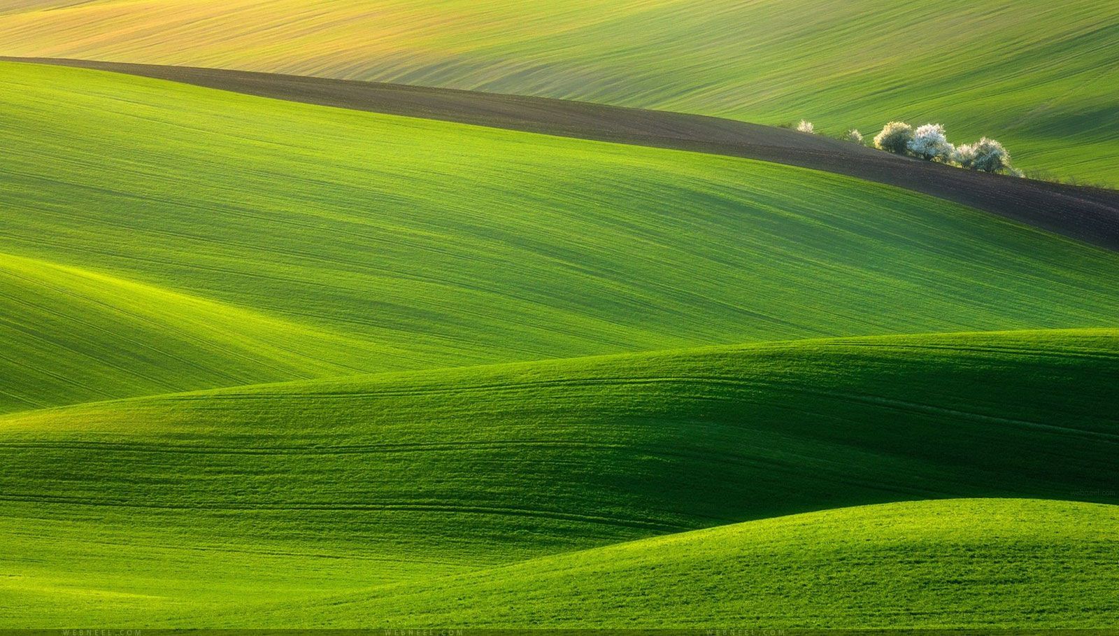 50 hermosos fondos de pantalla de naturaleza para tu escritorio móvil y tableta - HD