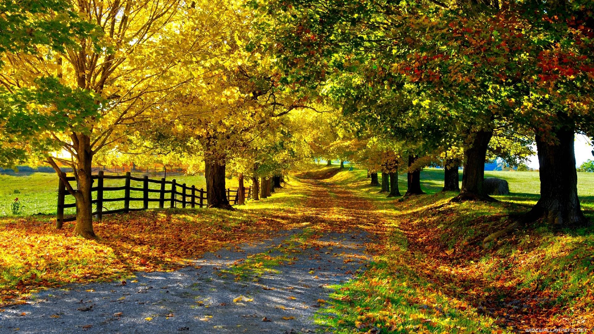 Nature Backgrounds - descargar best - digitalimagemakerworld.com gratis