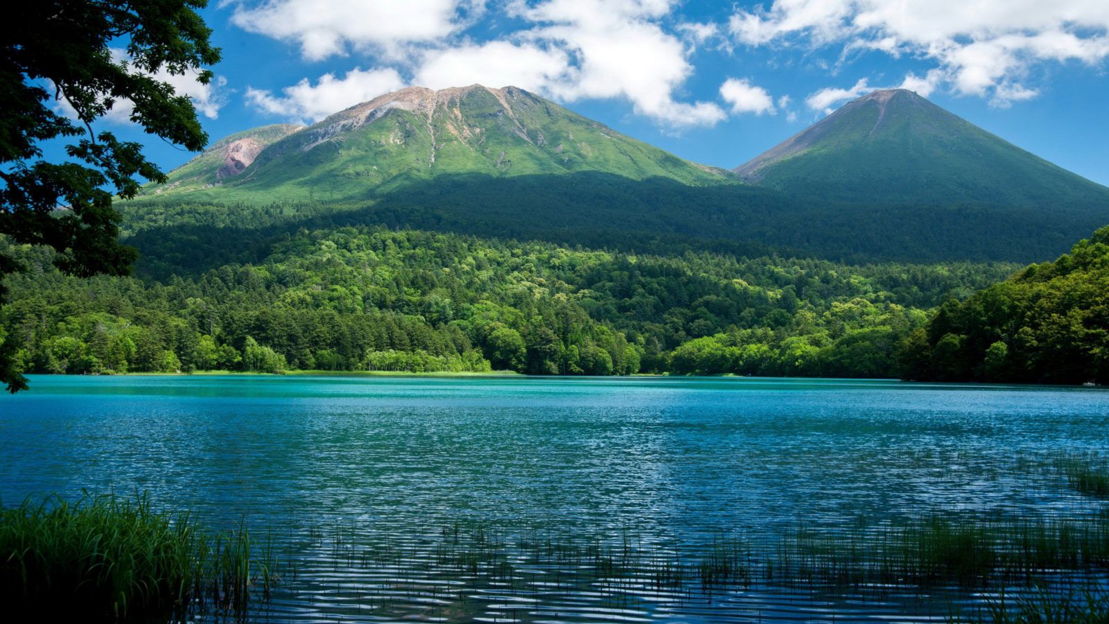 171 Ejemplos de fondos de pantalla de naturaleza para el fondo de tu escritorio