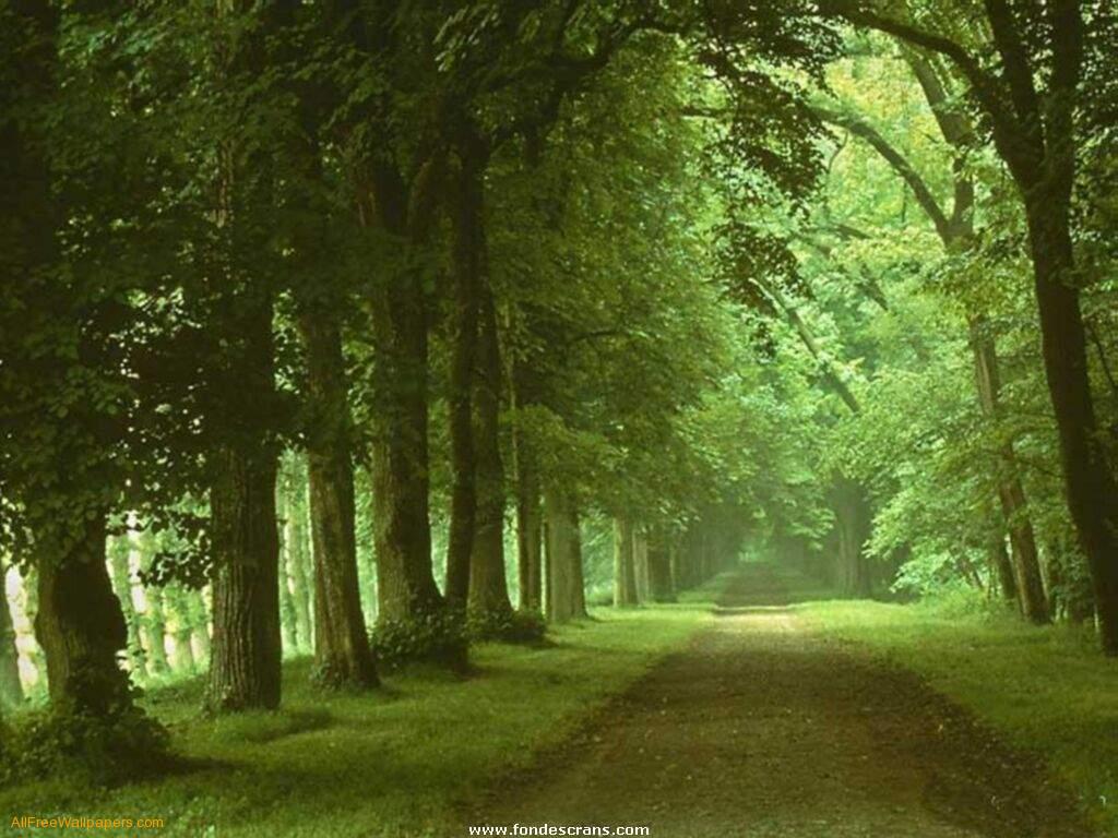 Fondos de la naturaleza 3d | HD Wallpapers Arena | El mejor fondo de pantalla de AGC