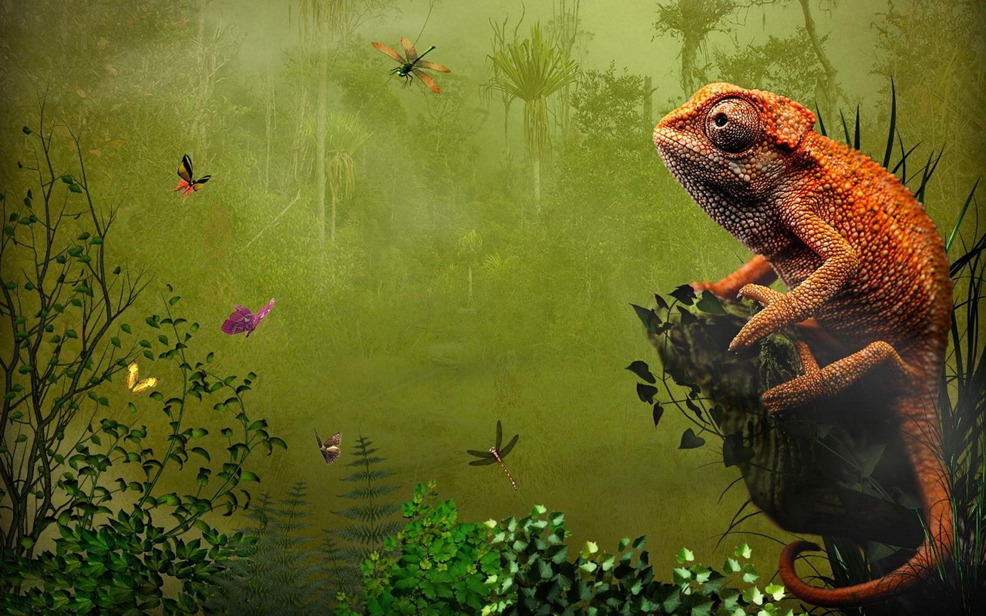 Fondos de pantalla: 1920x1200 px, obra de arte, camaleones, naturaleza, reptiles