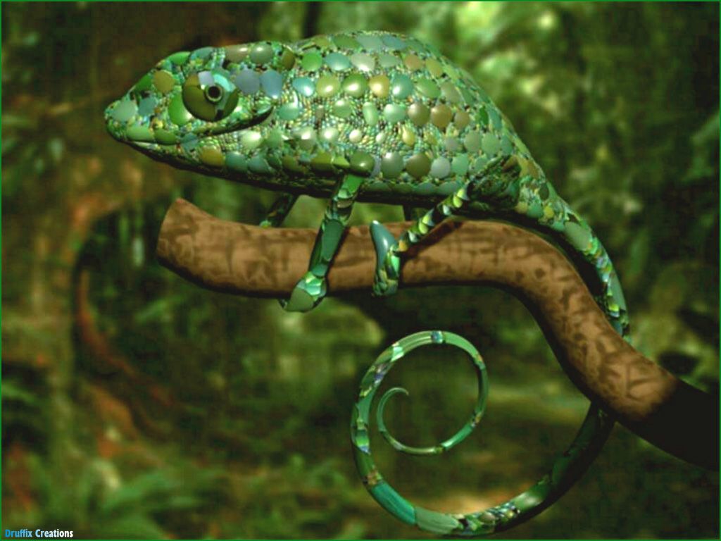 Fondos Reptiles Animales