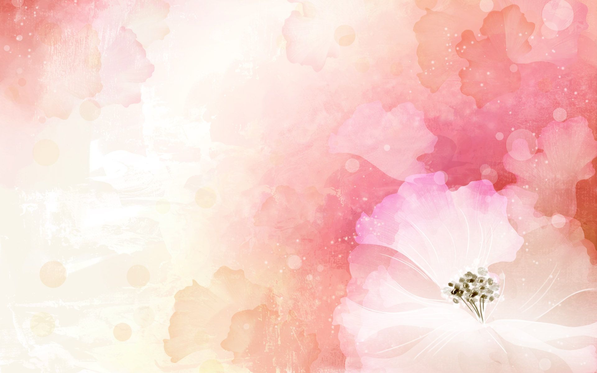 Fondos de flores | vector flor fondo web fondos de pantalla imágenes