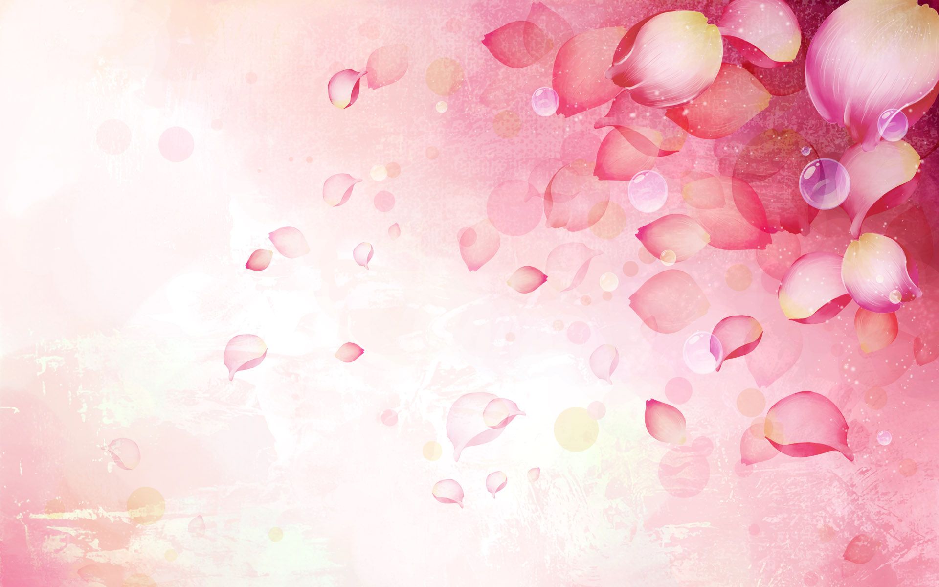 Índice de / ffs_gallery / albums / batch / shadows flower wallpapers / vector