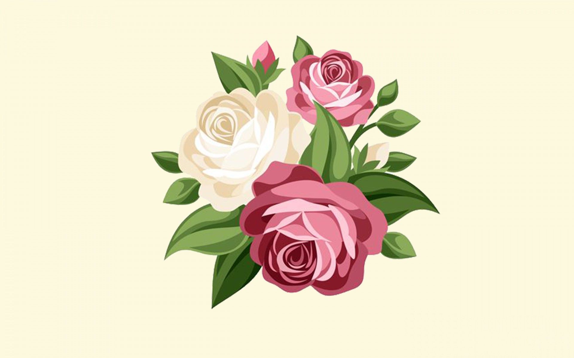 Vector Flower Background HD Wallpapers 29356 - Baltana