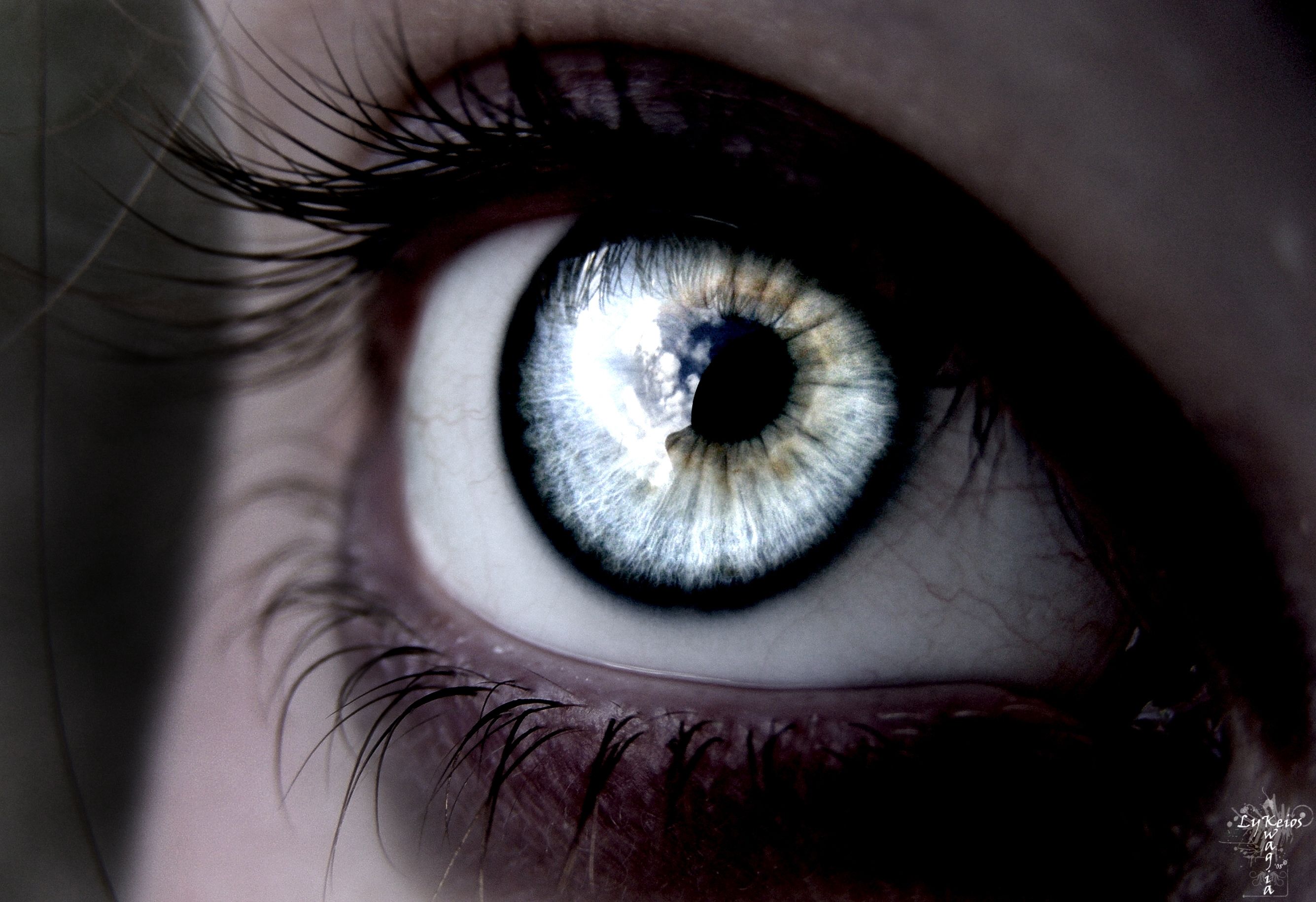 Wiki Descargar Eye Wallpaper Pic Wpb003125 - Pretty Rare Eye Colors
