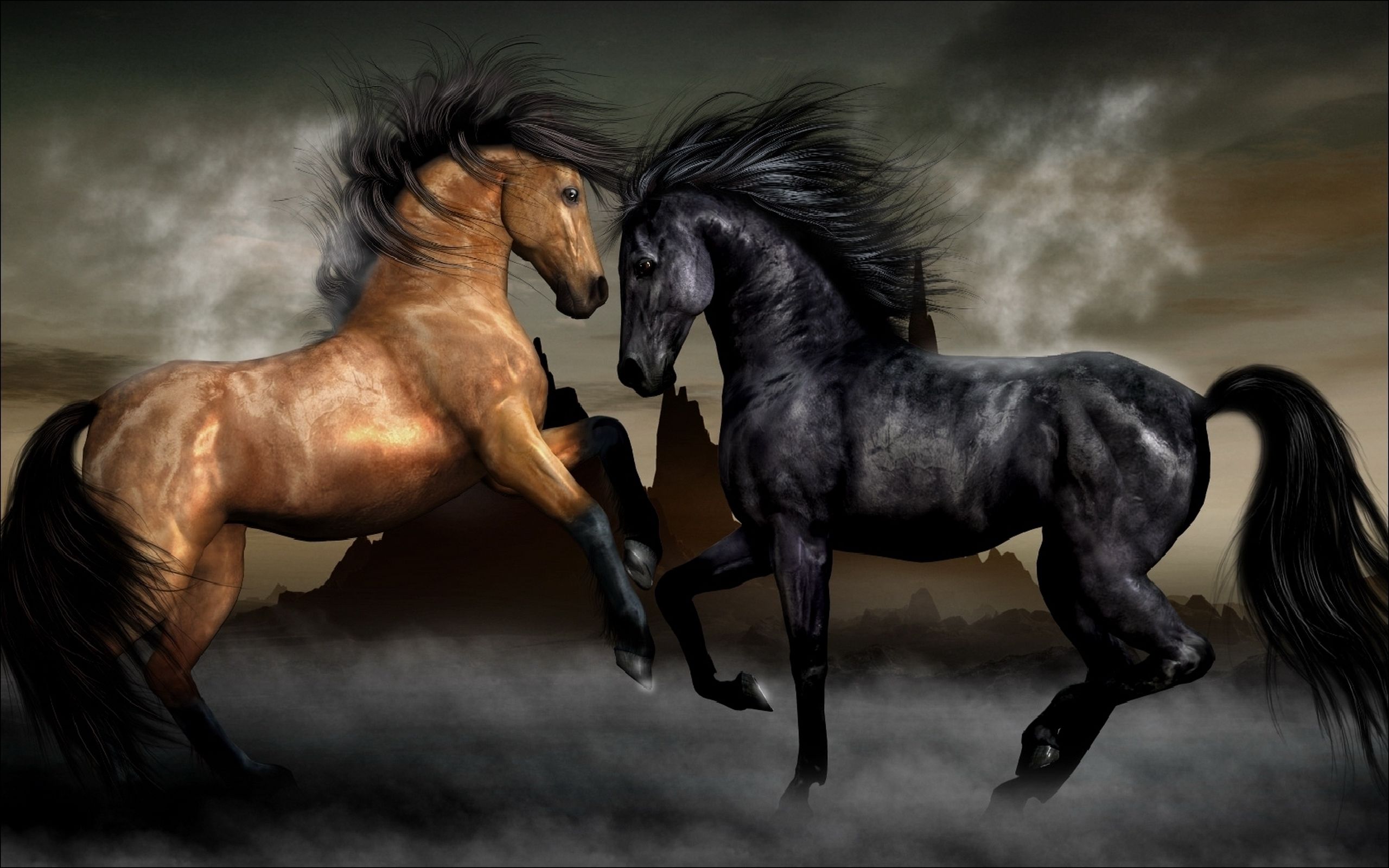 1414 Caballo HD Fondos de pantalla | Imágenes de fondo