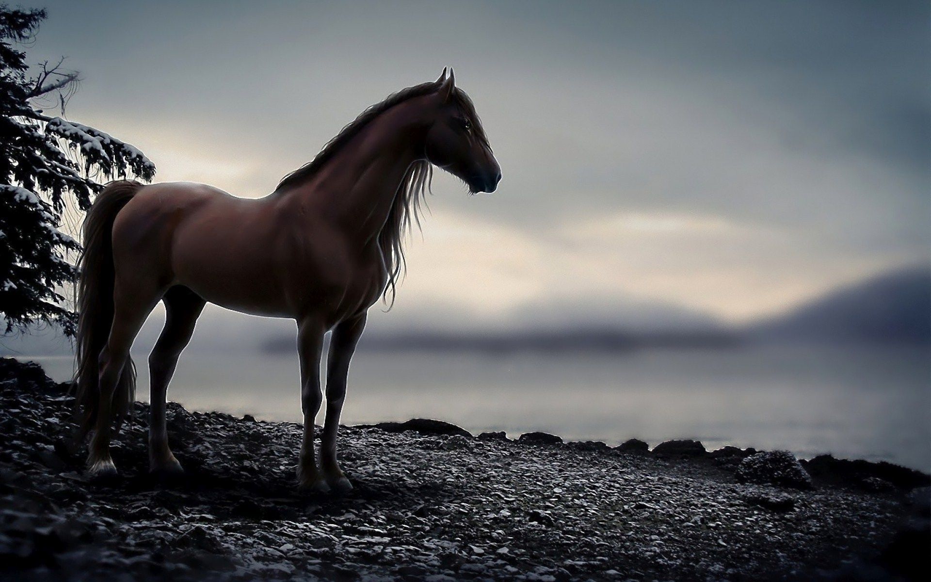 57+ Fondos de Caballos