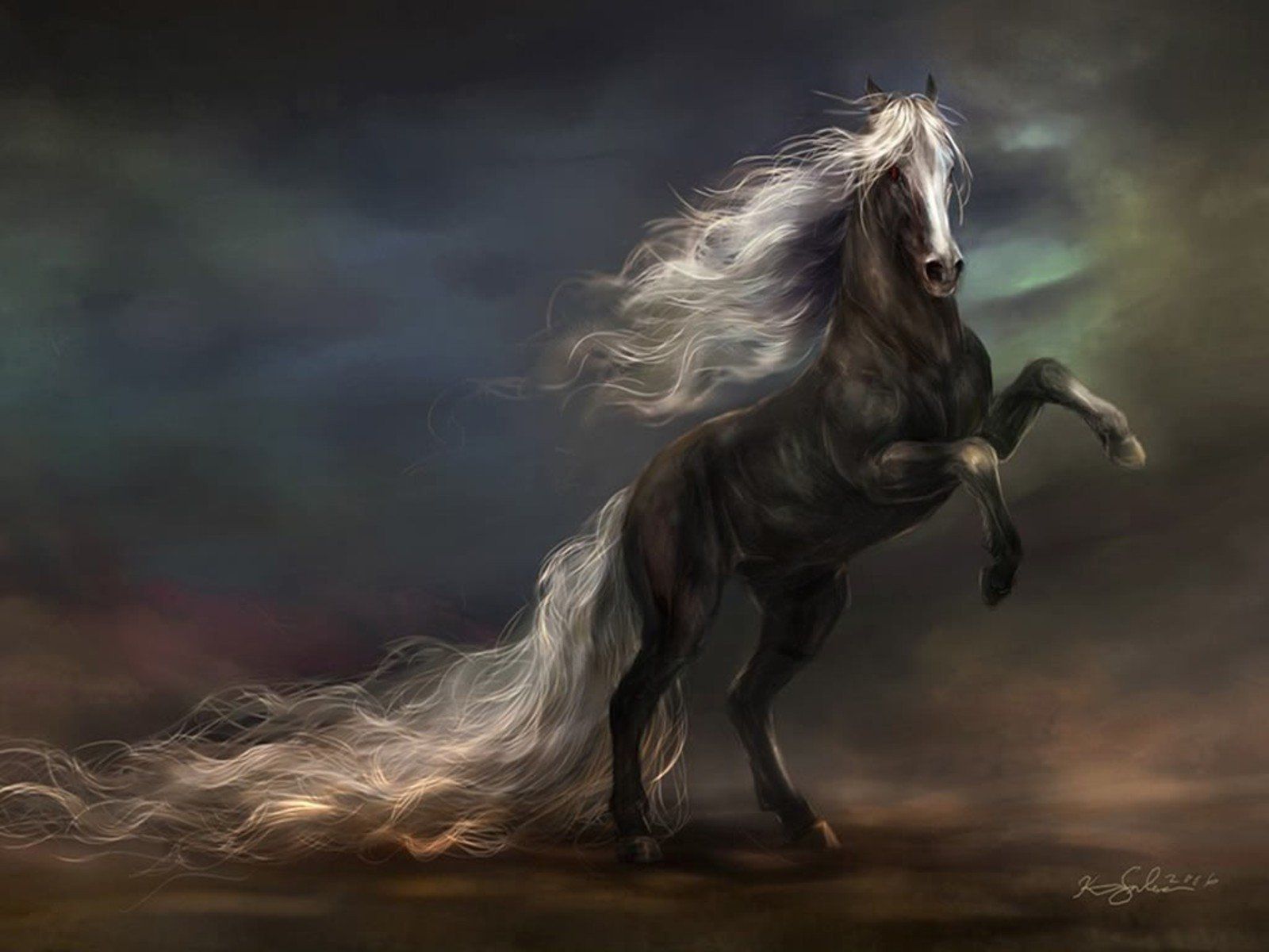 1414 Caballo HD Fondos de pantalla | Imágenes de fondo