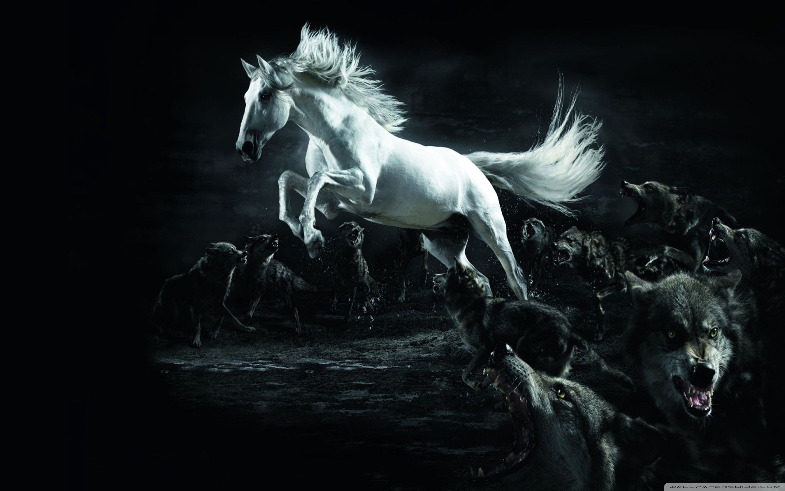 WallpapersWide.com ❤ Caballos HD Fondos de escritorio para 4K Ultra HD