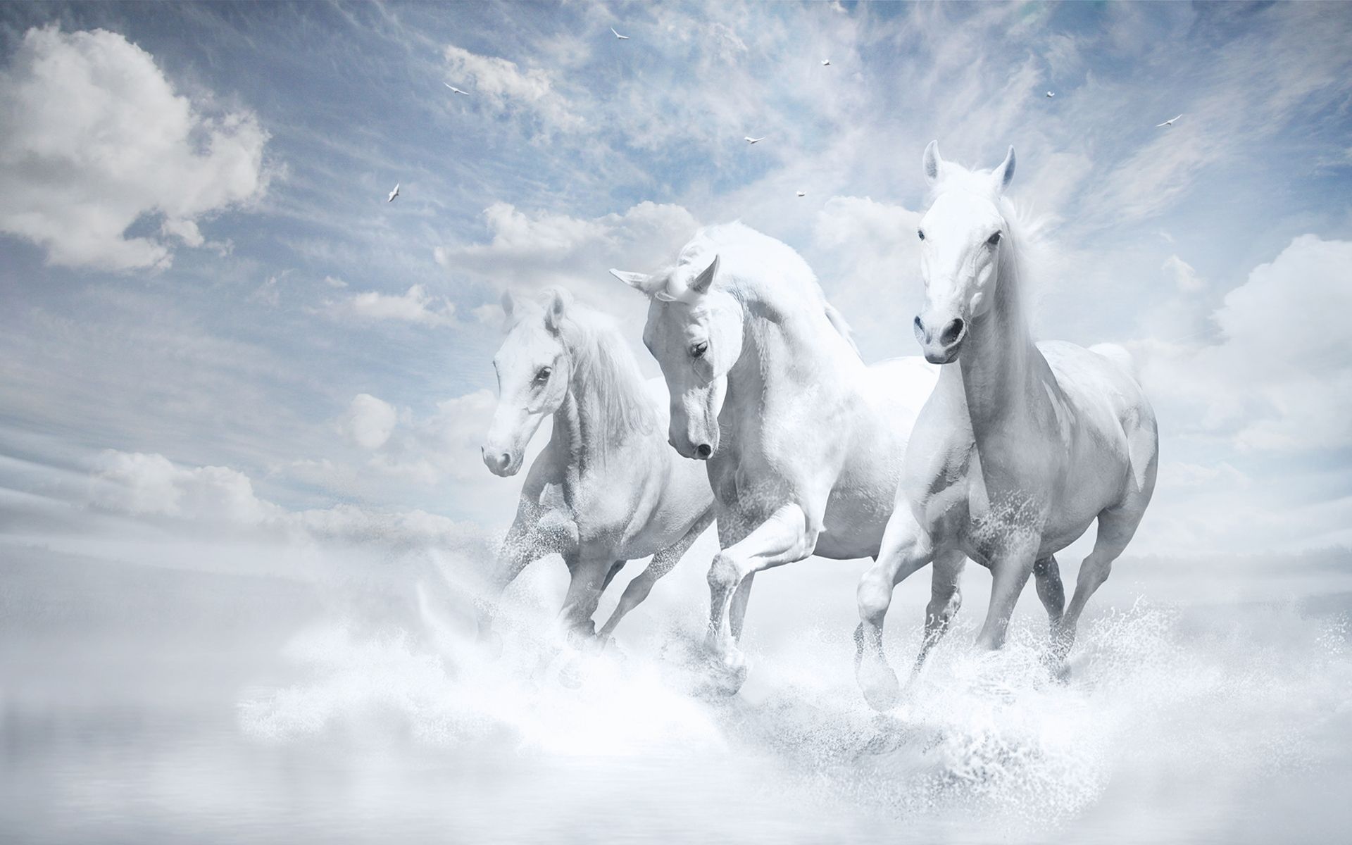 caballos 4K fondos de pantalla para su escritorio o pantalla móvil gratis y fácil