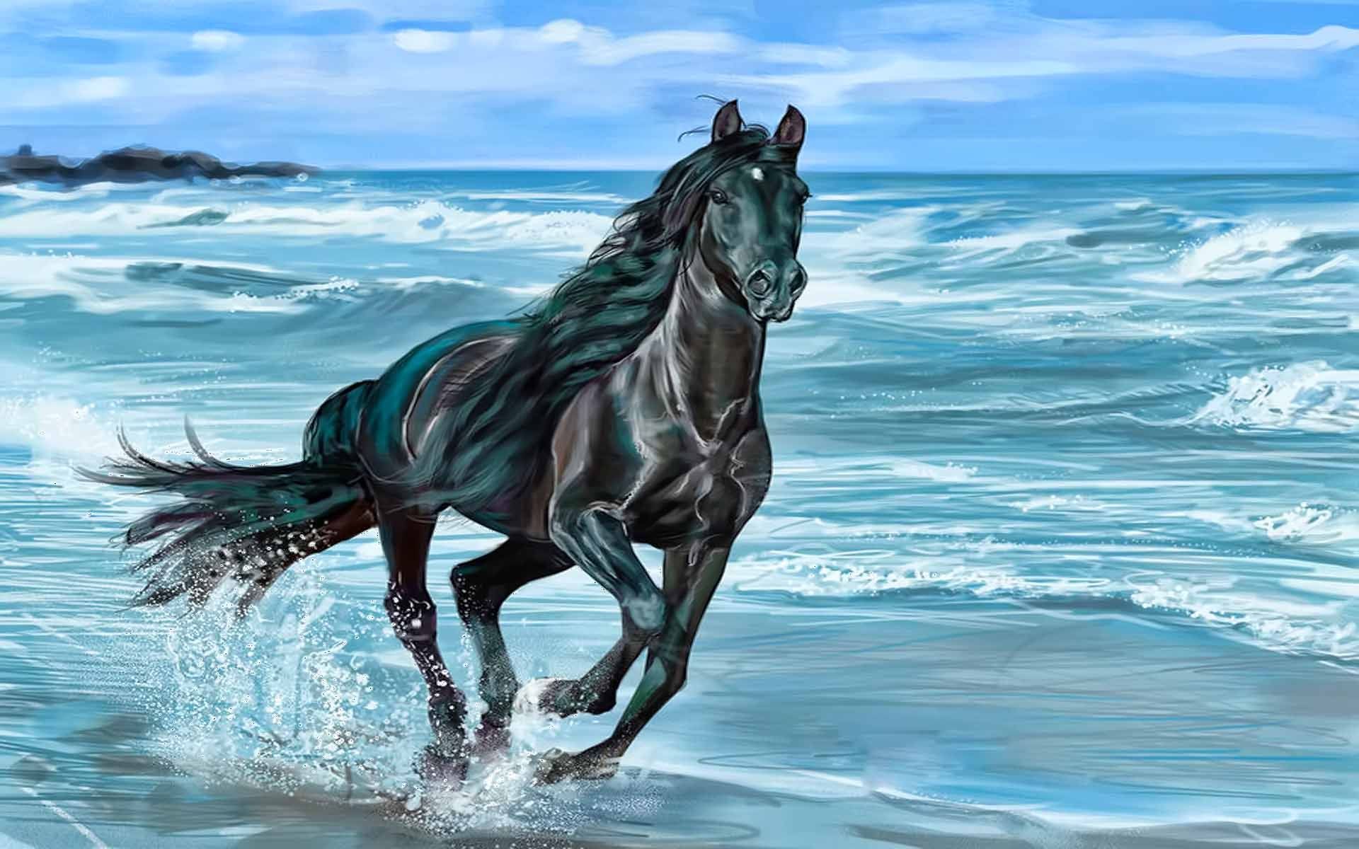 Hermosos caballos fondos de pantalla Galería