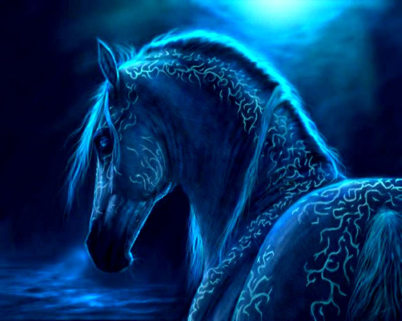 Fondos de pantalla de caballos 104 - Imágenes de Miembros - EmoPuddle