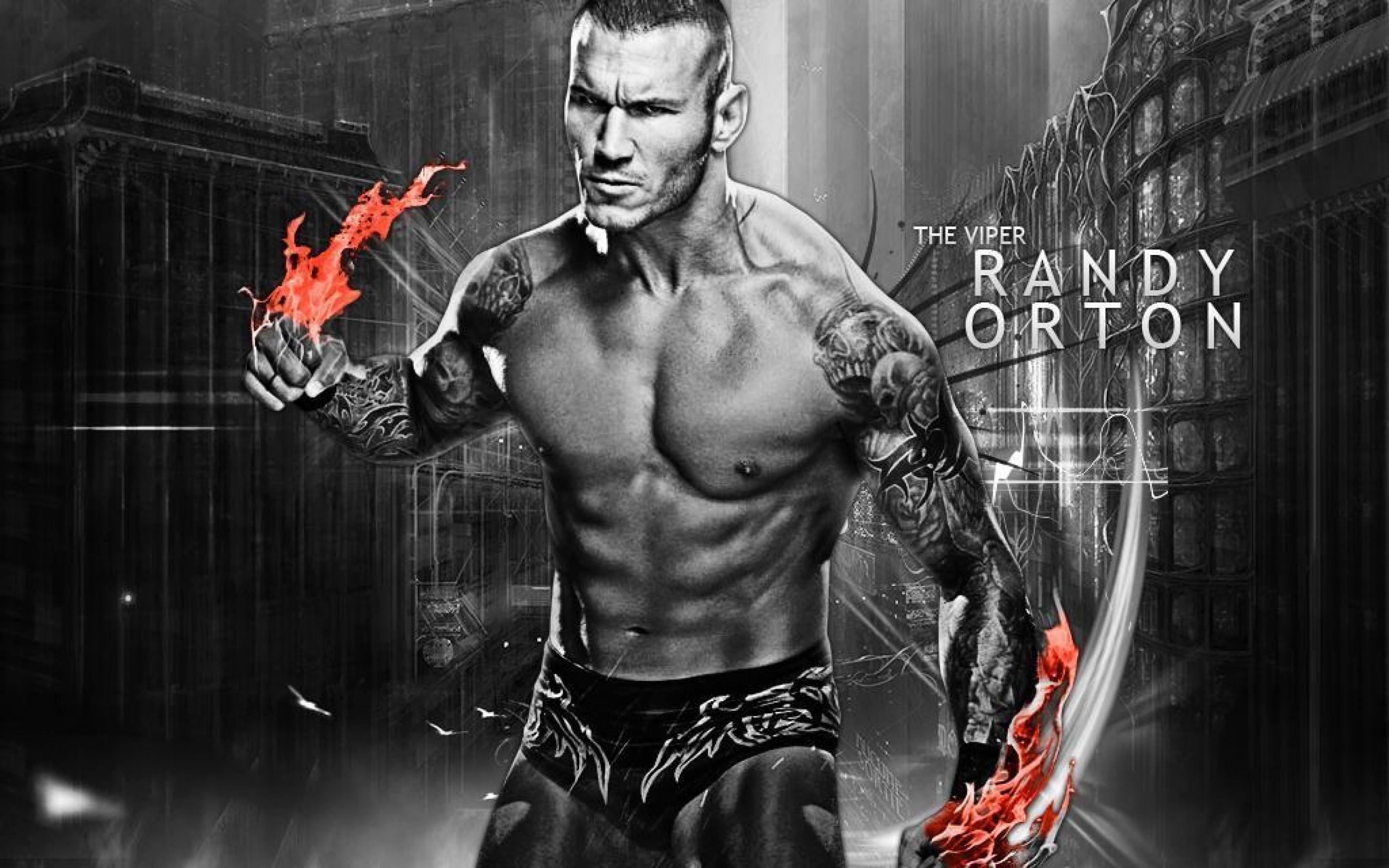 Wwe Wallpaper Group (45+), descargar gratis