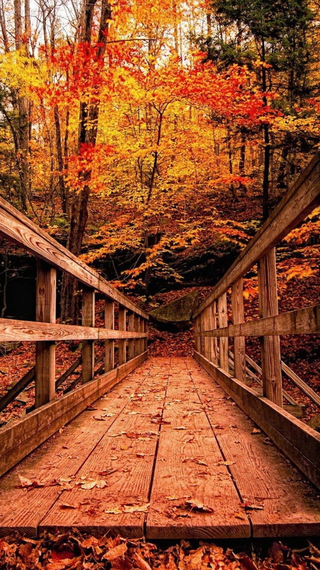 Fondo de pantalla de otoño de iPhone 6 (más de 87 imágenes)