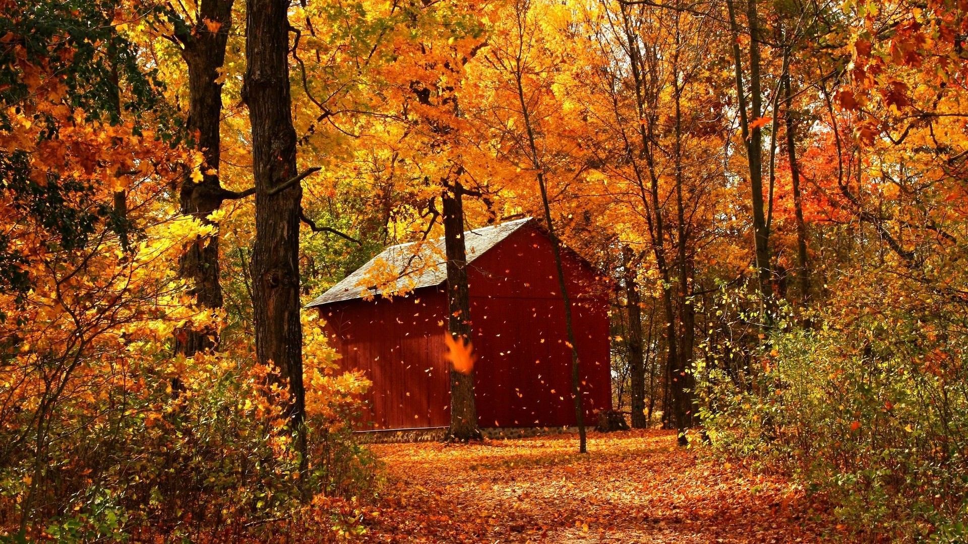 25+ Fondos de Otoño, Fondos, Imágenes, Imágenes | Tendencias de diseño