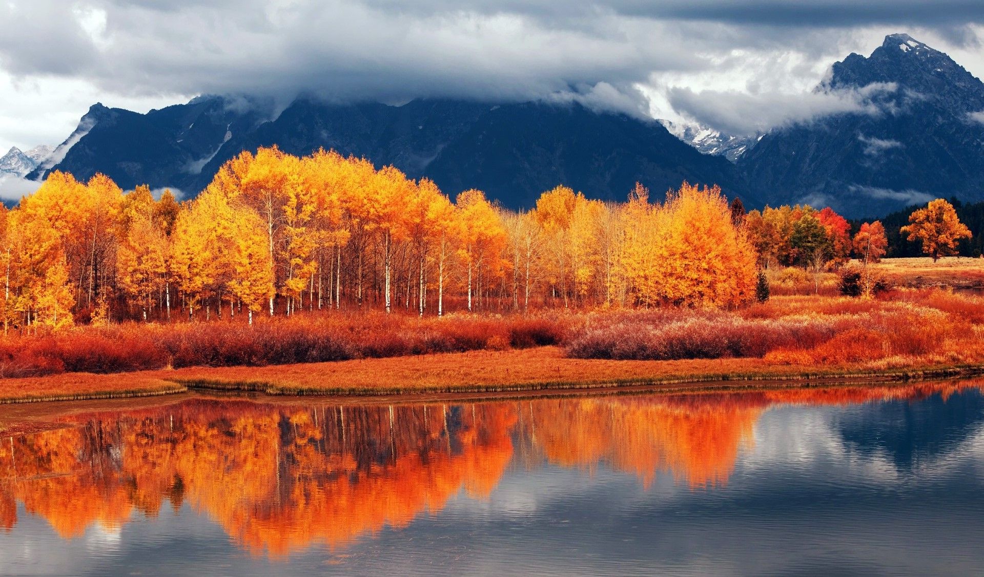 Autumn Wallpaper HD te permite sentir la magia del otoño