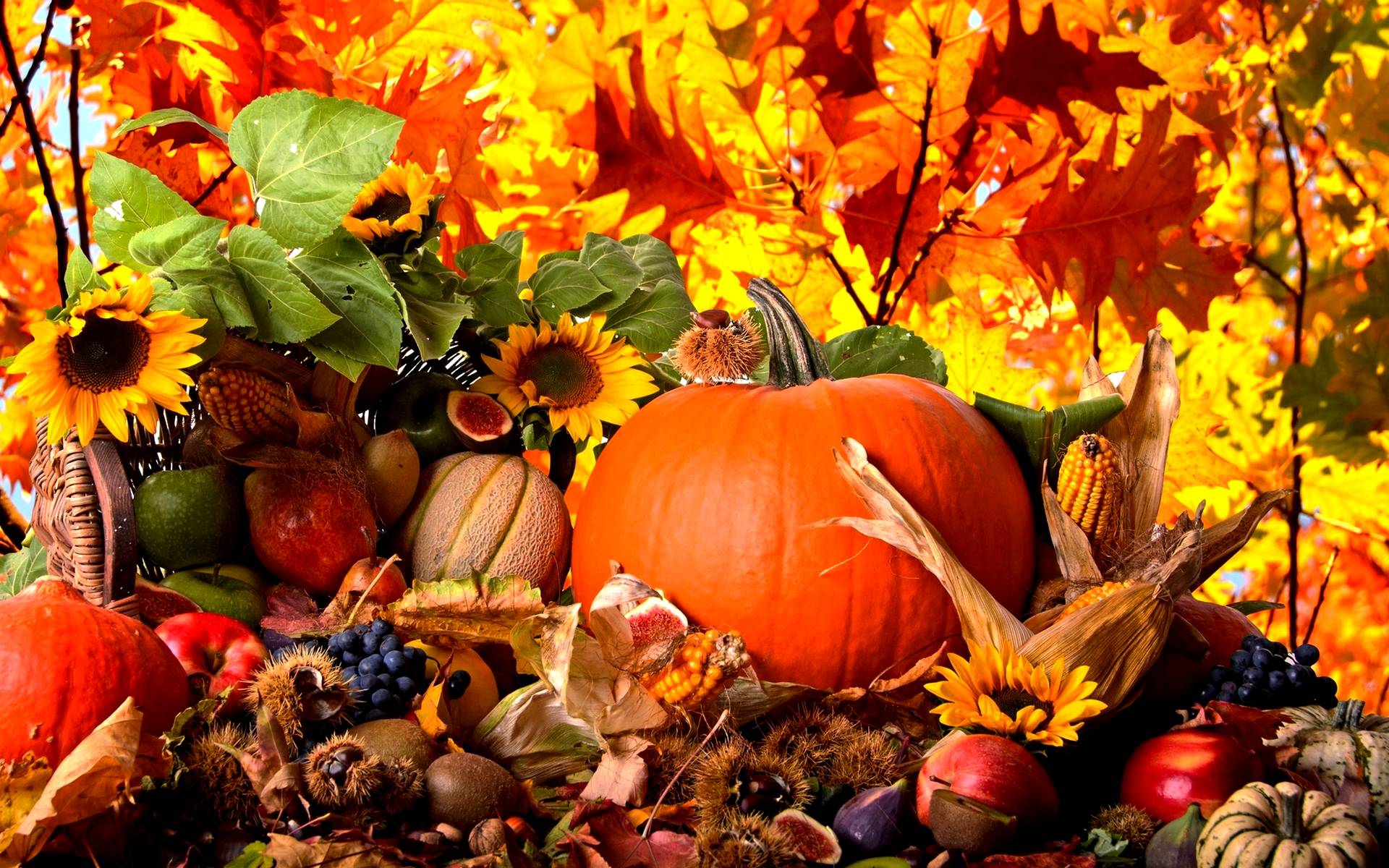 Más de 60 fondos de escritorio de Autumn Harvest - Descarga