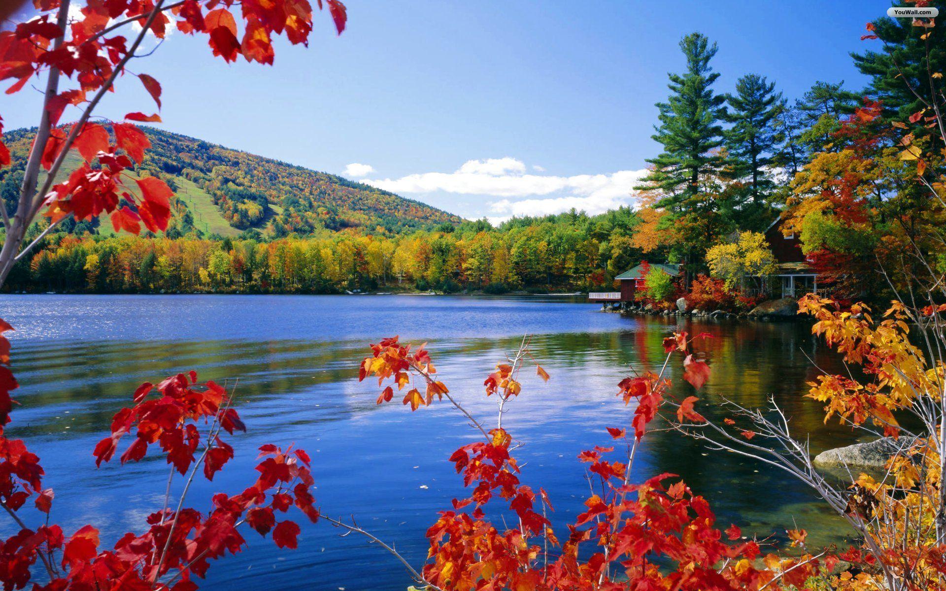3D Fall Wallpapers