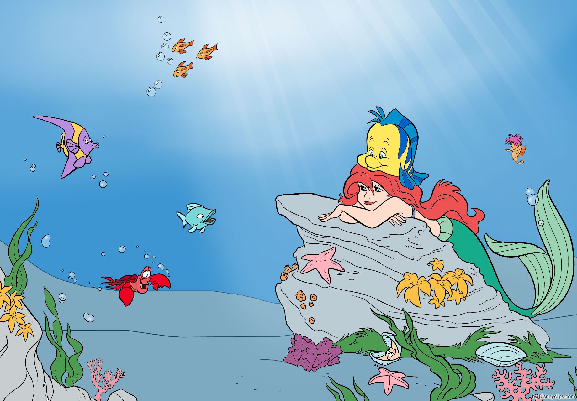 48 Little Mermaid Wallpaper - Fondos de pantalla HD gratuitos