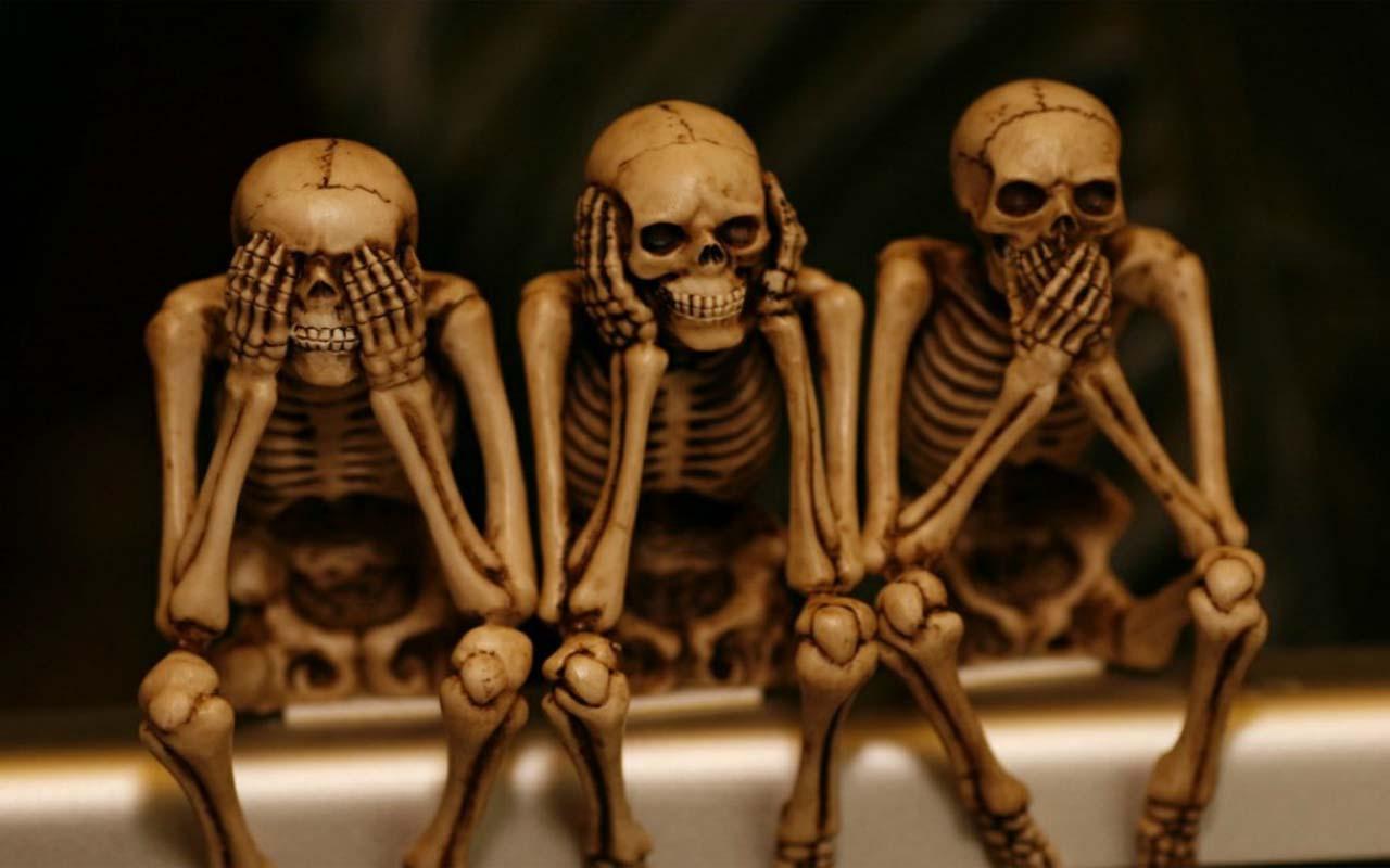 Clasificación de la aplicación Skeleton Live Wallpaper y datos de la tienda | App Annie