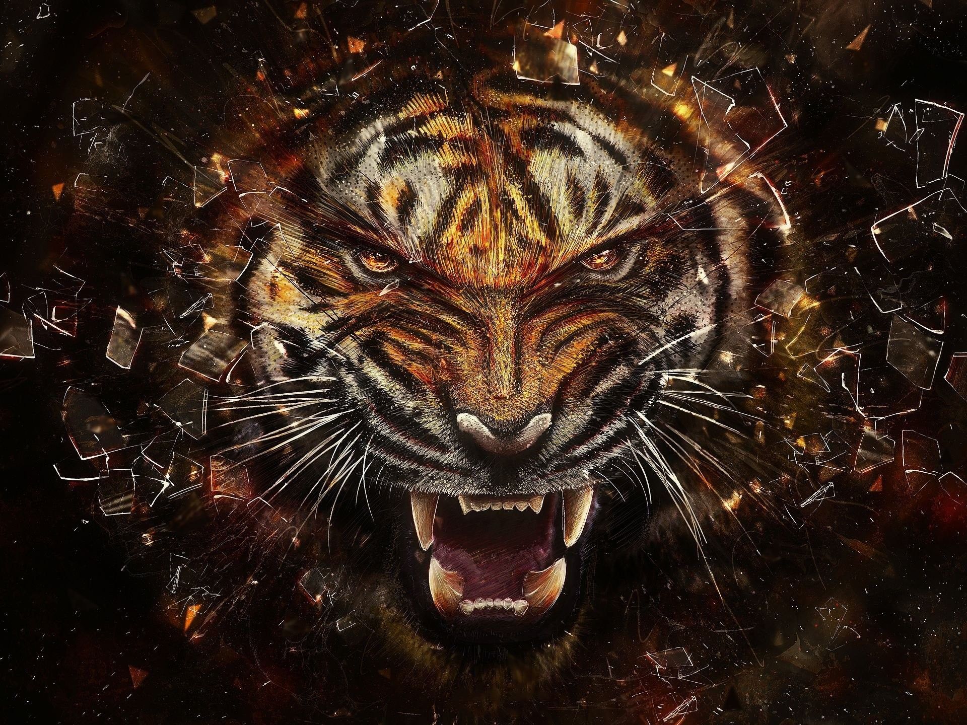 Cool Wallpapers of Tigers (54+ imágenes)