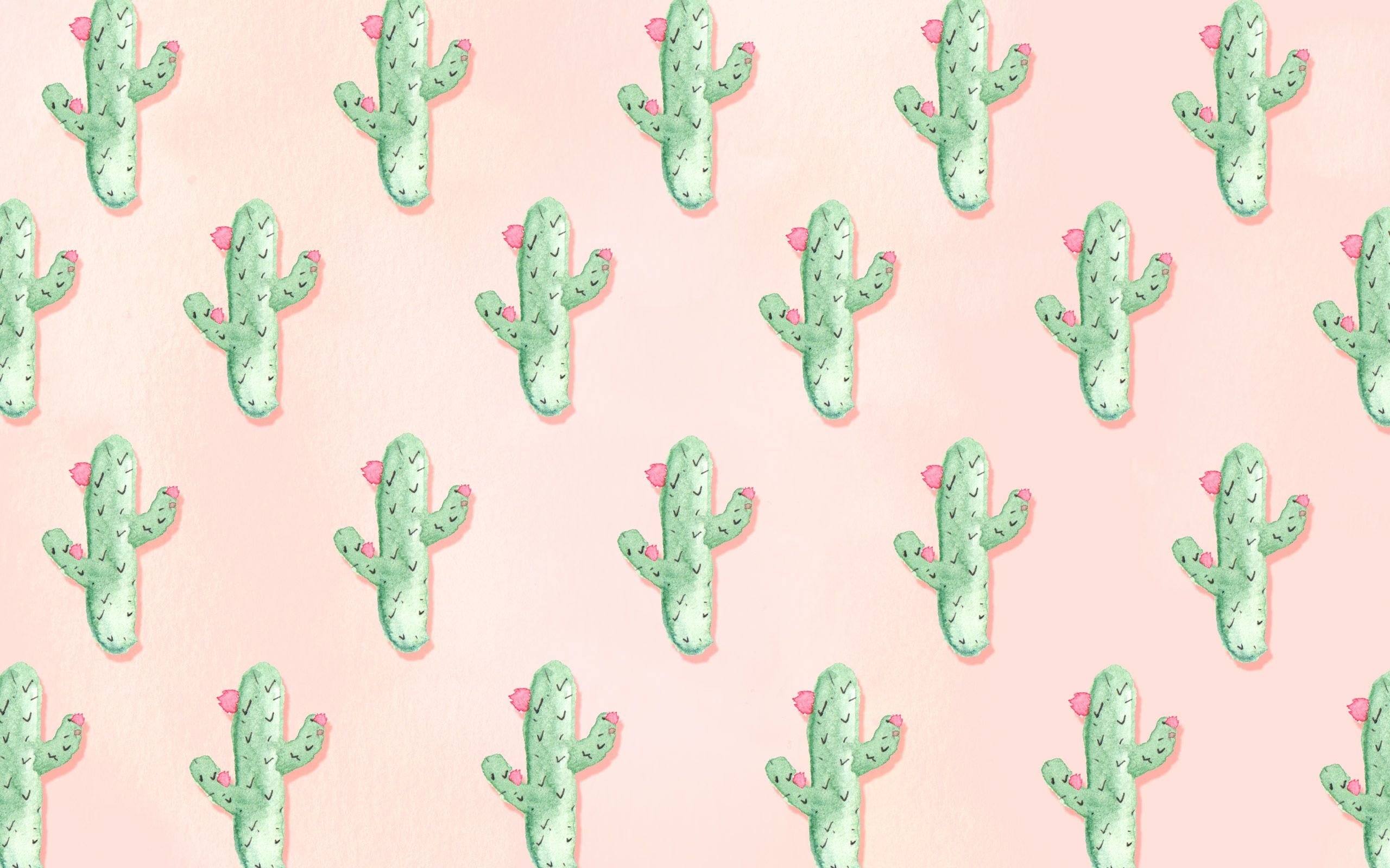55+ Cactus Fondos de computadora - Descarga