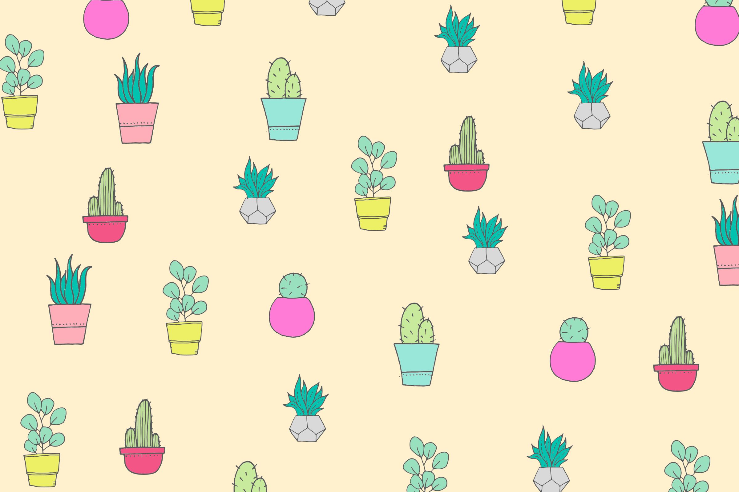 CACTUS GRATUITOS Y SUCULENTOS FONDOS DE PANTALLA PARA SU ESCRITORIO, TABLETA Y