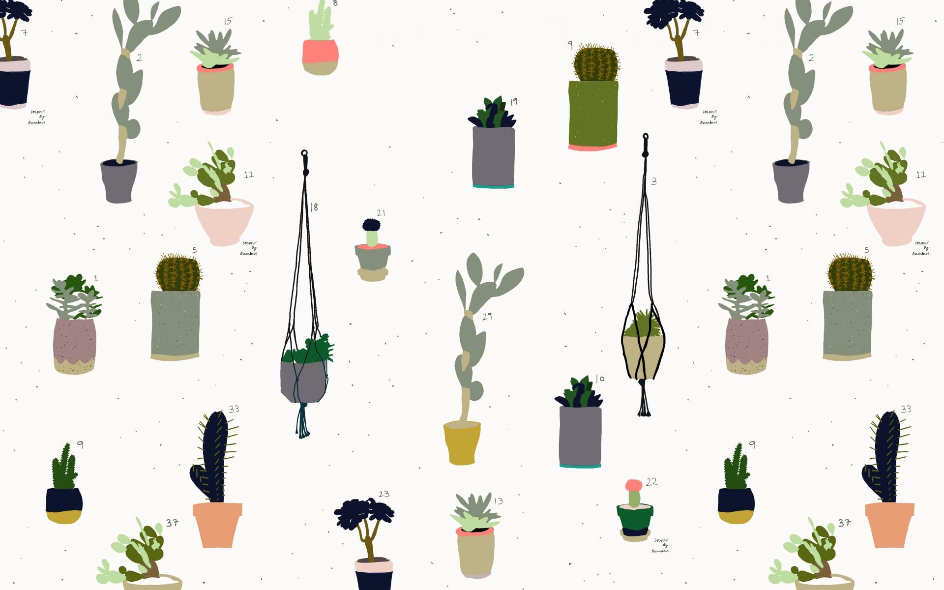 Papel pintado Cactus 5 - 5120 X 2880 | stmed.net