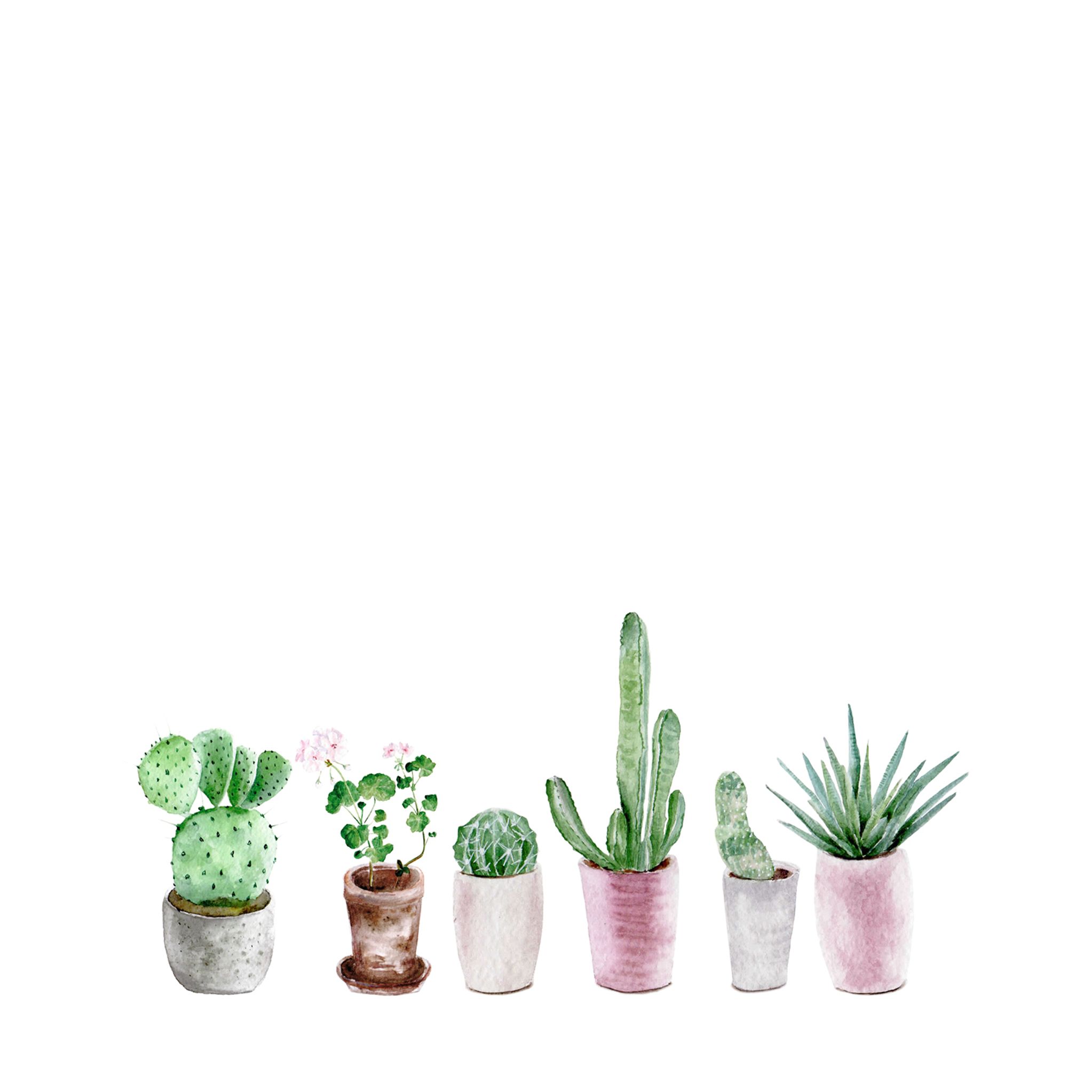 April Wallpapers - Cactus Wallpaper Ipad (# 29879) - Fondo de pantalla HD