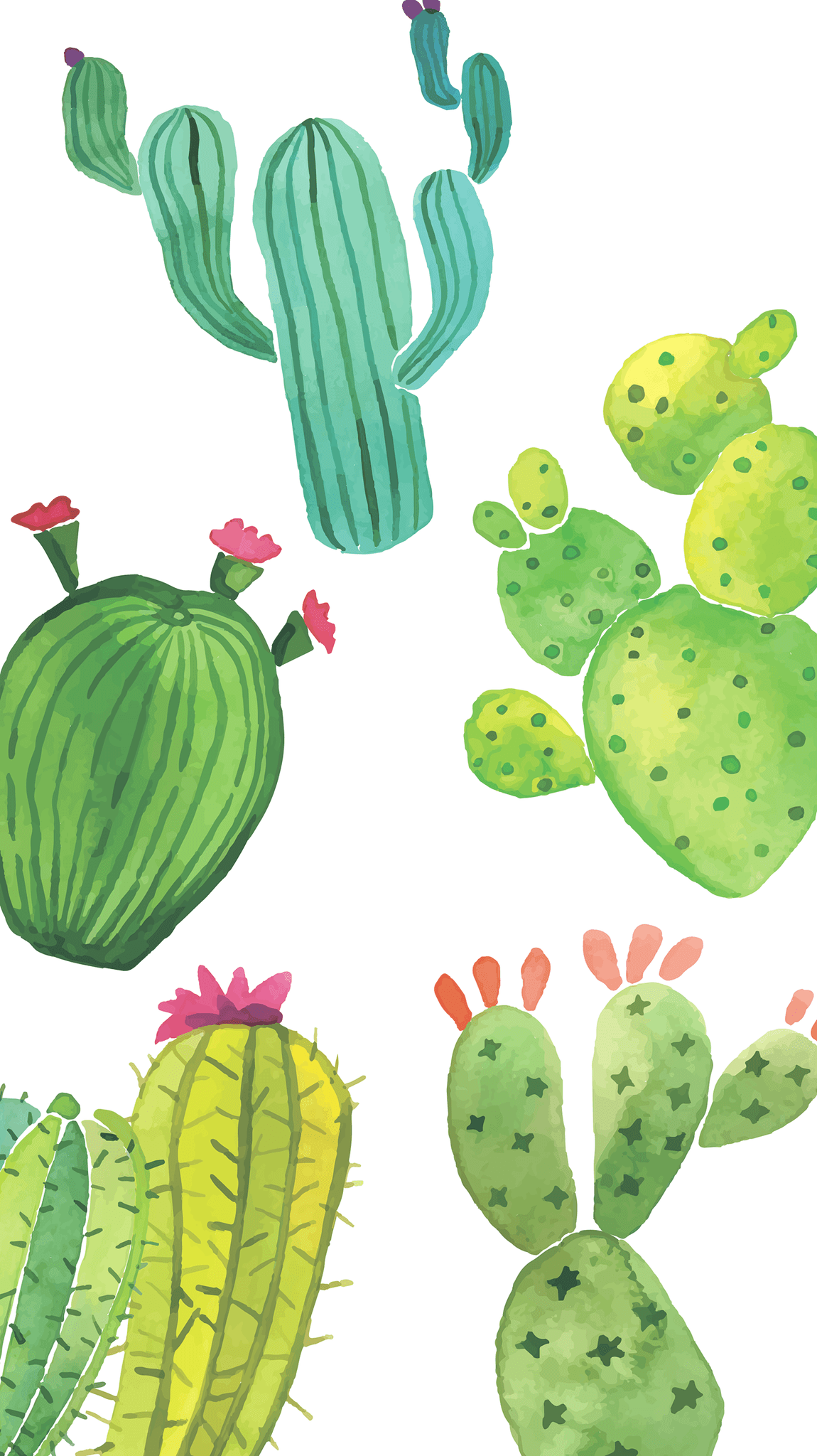 Cute Cactus Wallpapers