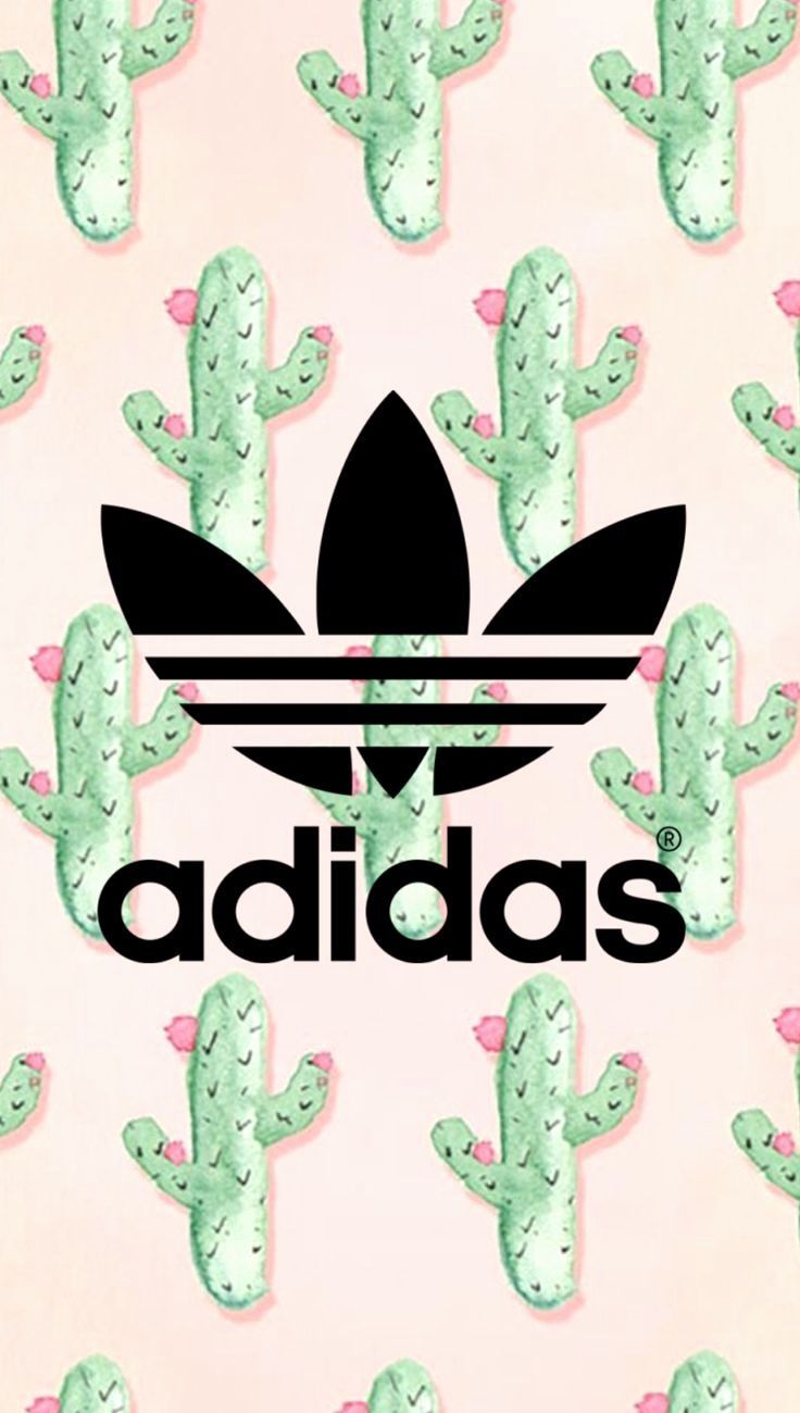 Cute Cactus Wallpapers