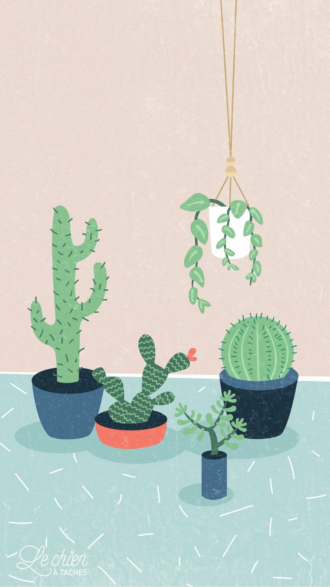 Papel pintado cactus | Fondo de pantalla | Fondo de pantalla de suculentas, pastel