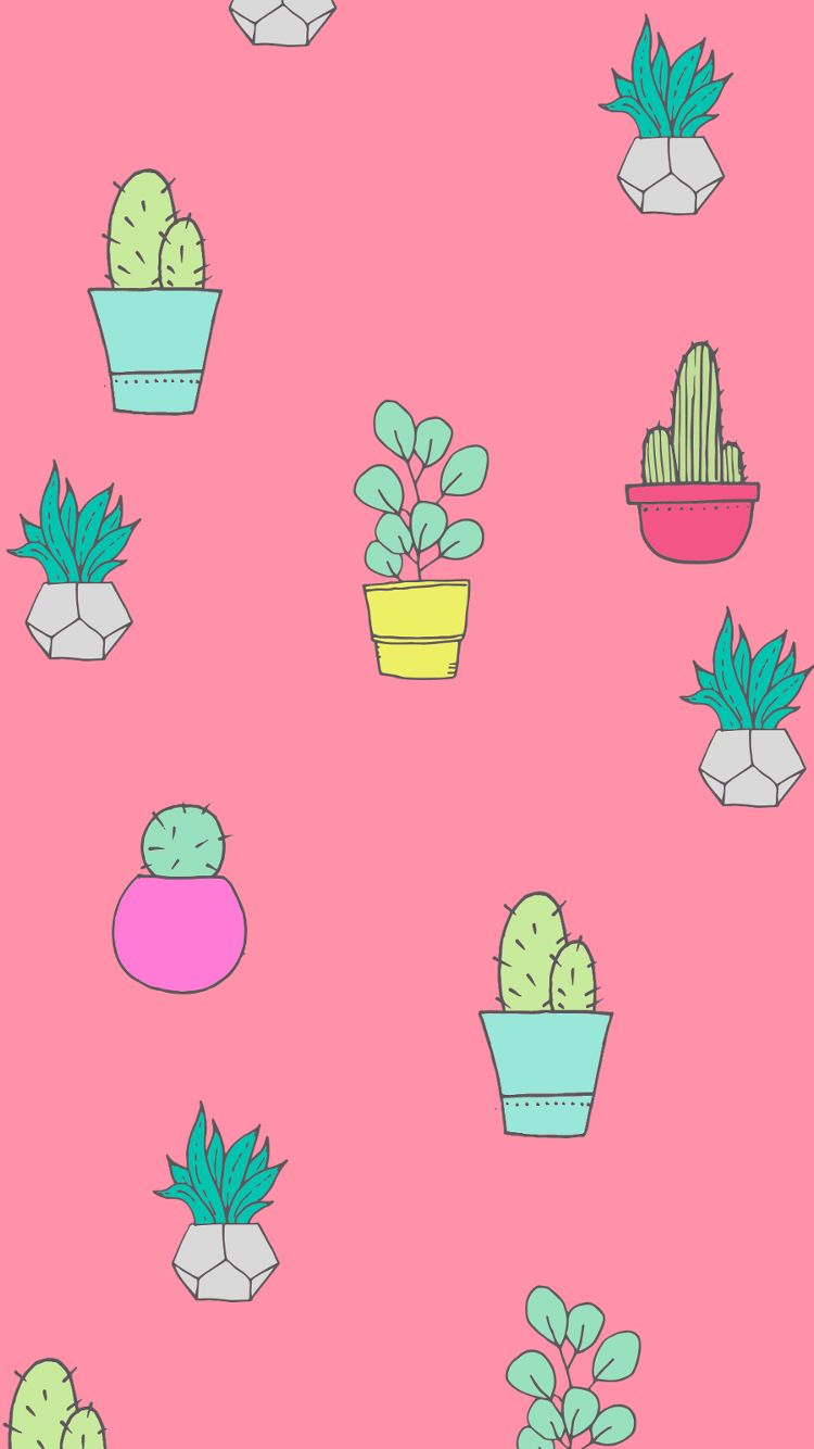 CACTUS GRATUITOS Y SUCULENTOS FONDOS DE PANTALLA PARA SU ESCRITORIO, TABLETA Y