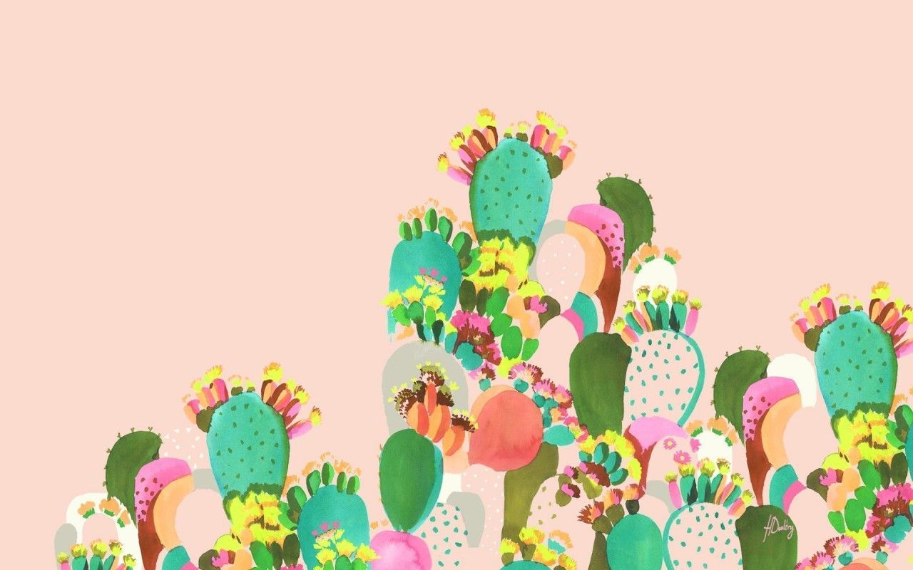 Cactus Family fondos de pantalla | Familia de cactus fotos gratis