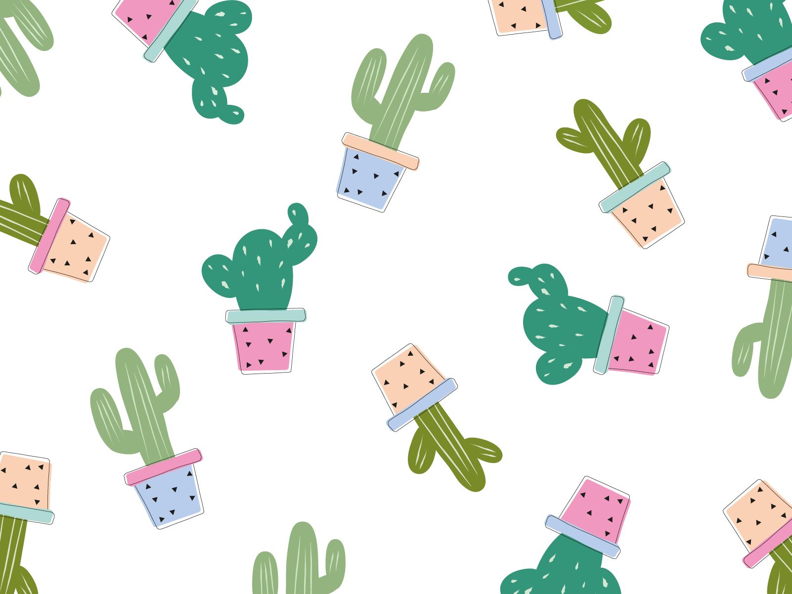 Cactus Wallpaper 3 - 1602 X 1202 | stmed.net