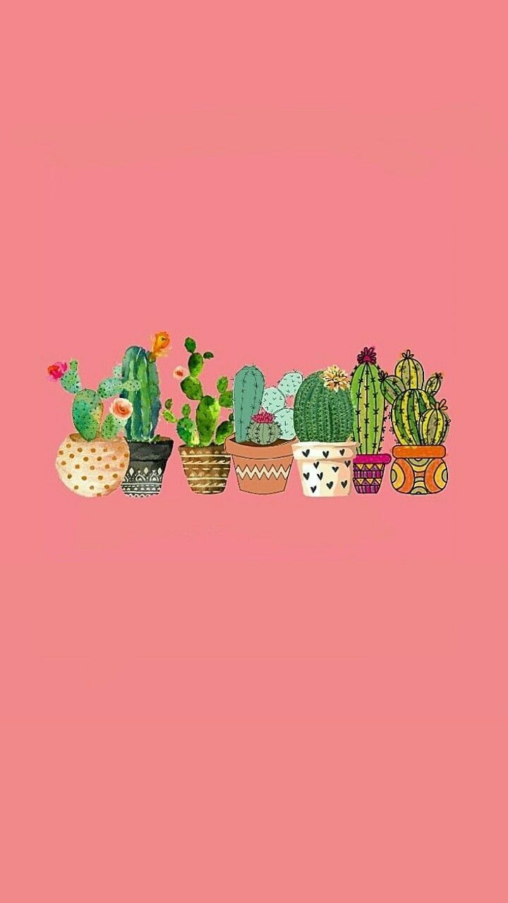 Fondo de pantalla de cactus s