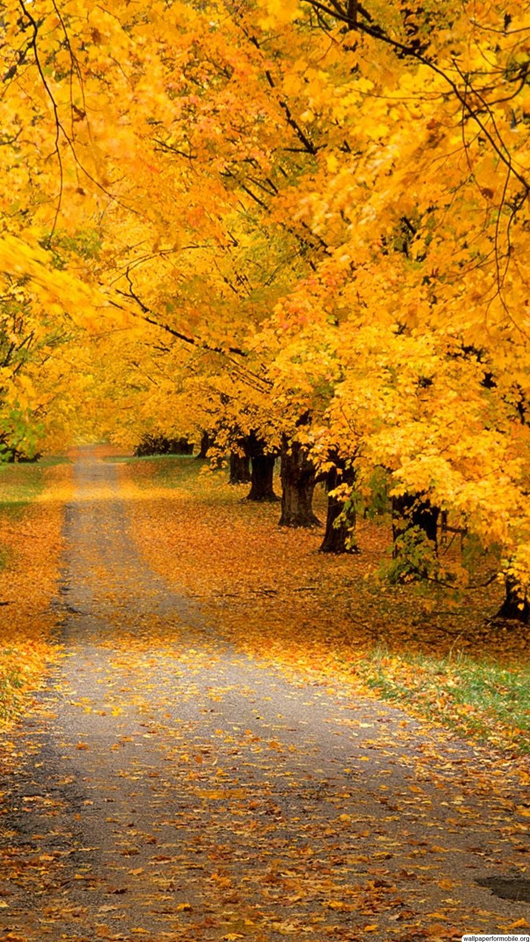 Hermosos fondos de pantalla 1080x1920, # XA3HLL6 | WallpapersExpert.com