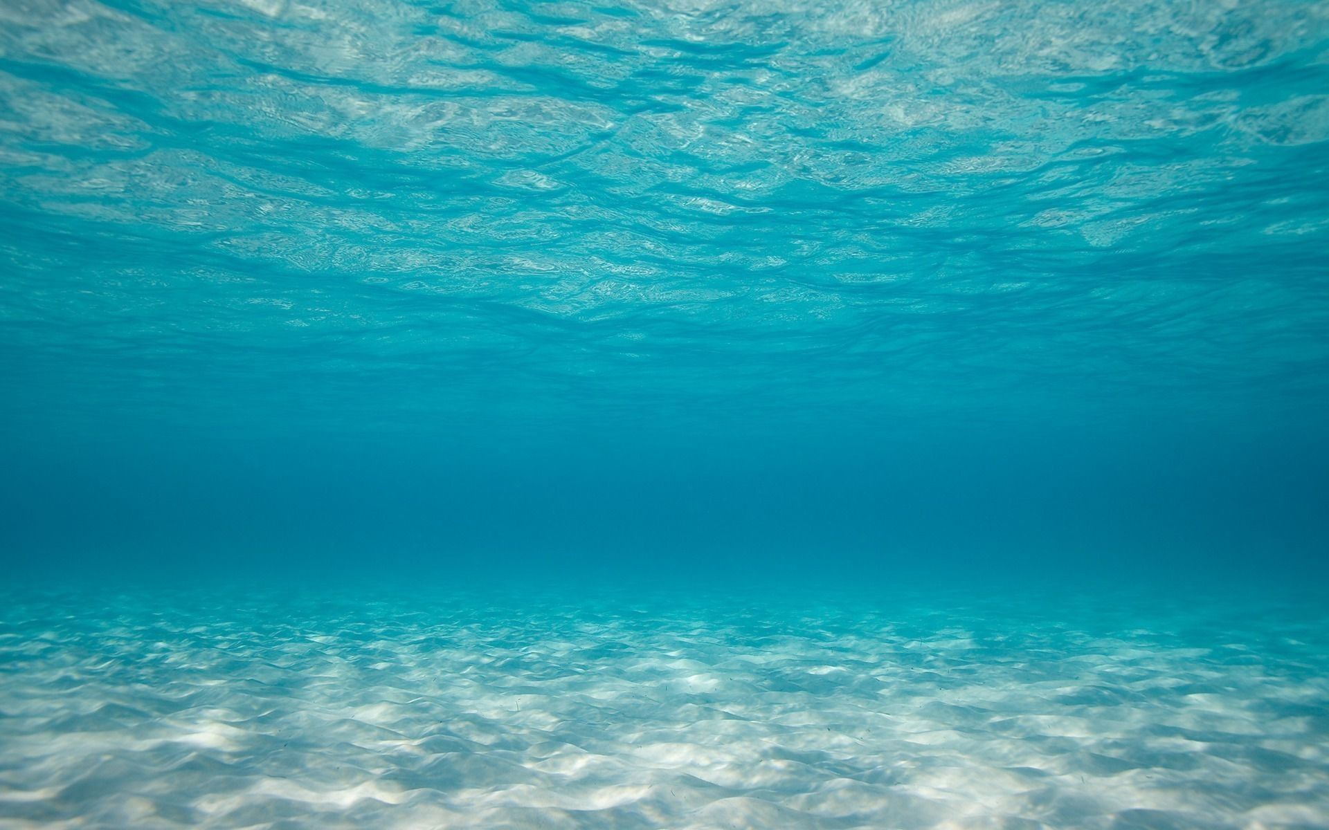 Más de 66 fondos de pantalla de Under Ocean