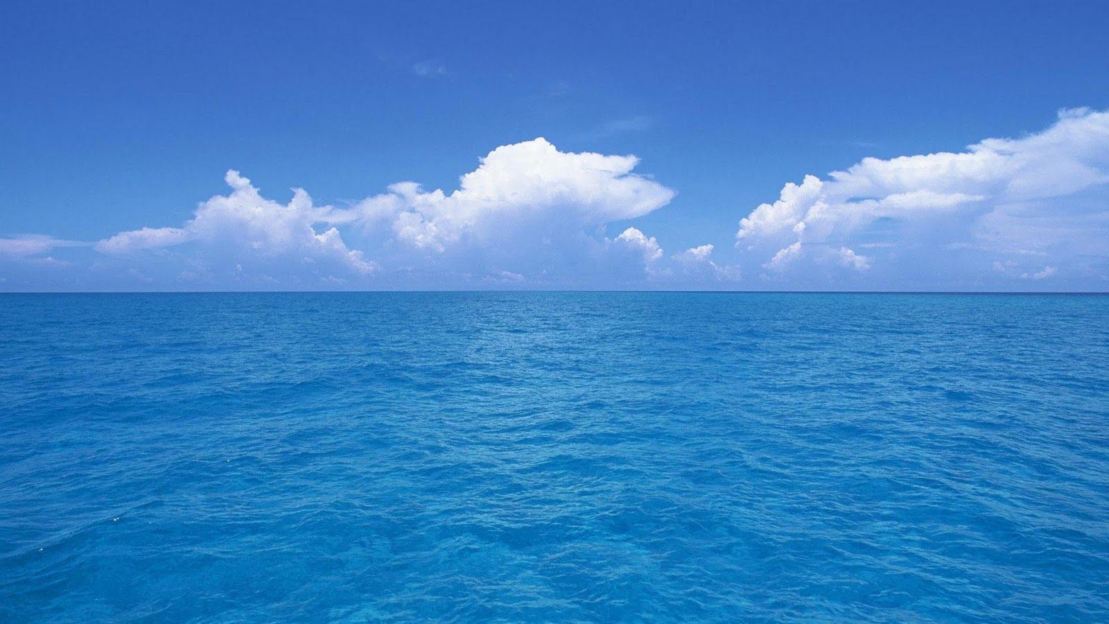 48+] Sea Wallpapers HD