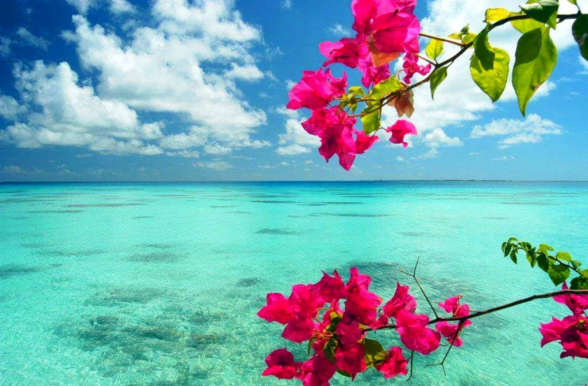 65+ Fondos de Spring Sea - Descargar
