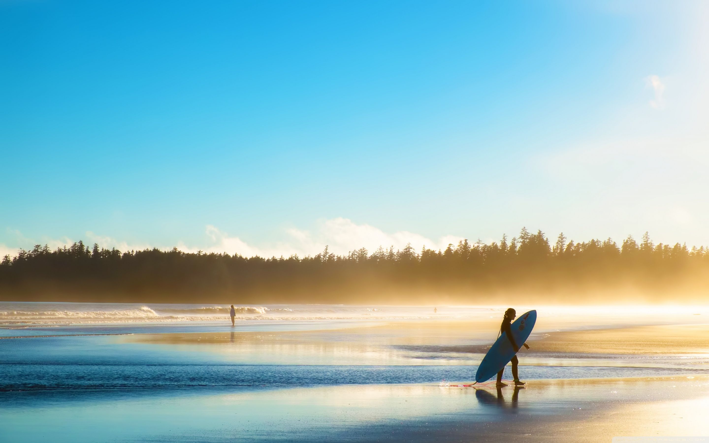 WallpapersWide.com ❤ Surfing HD Desktop Wallpapers para 4K Ultra HD