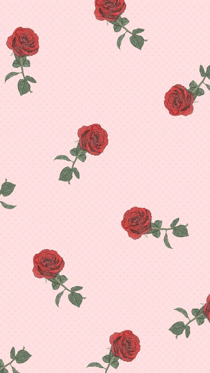 Imagen sobre fondos de pantalla de pretty in Cute por Haifa