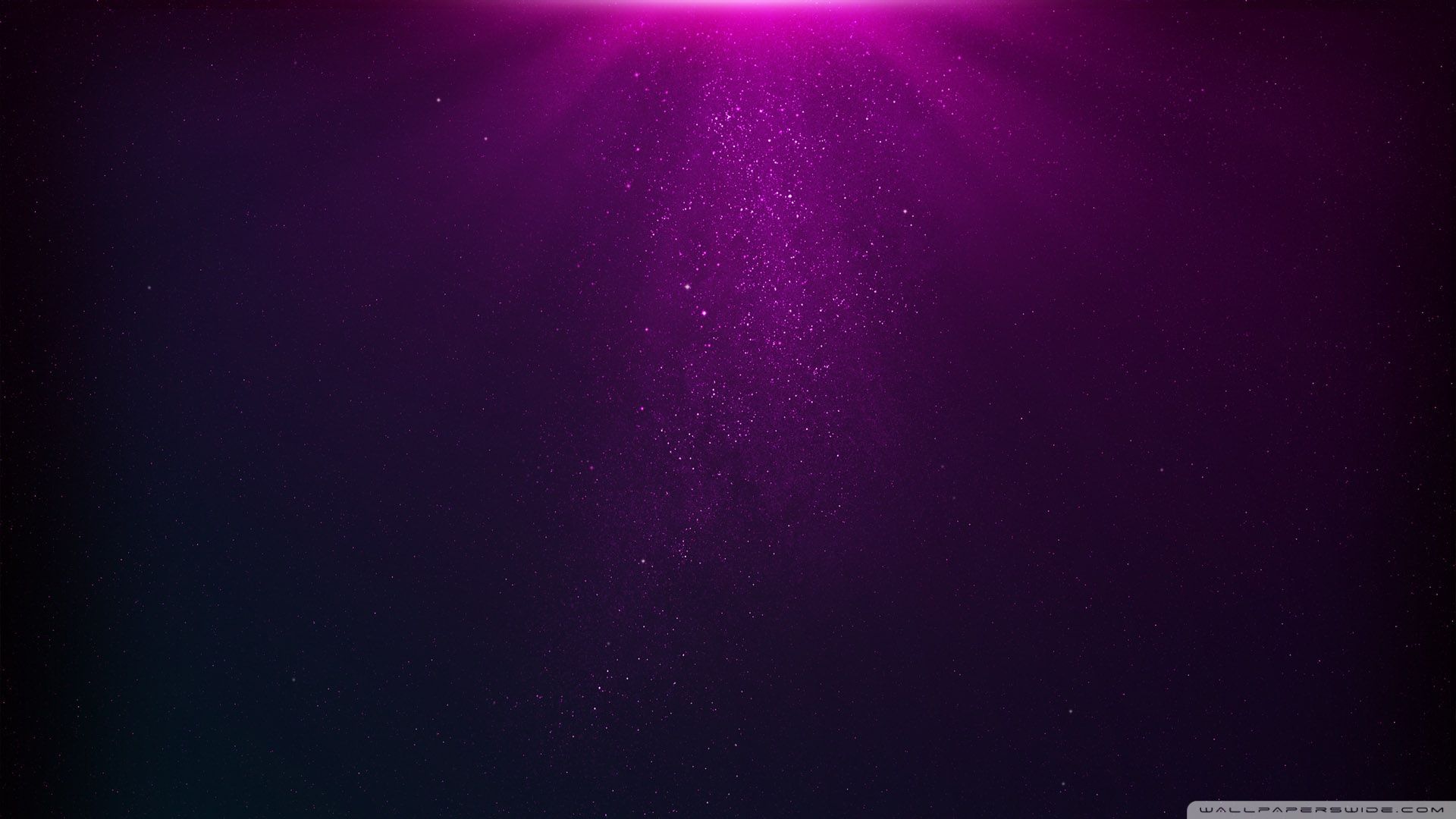 Fuchsia Wallpaper 11 - 1920 X 1080 | stmed.net