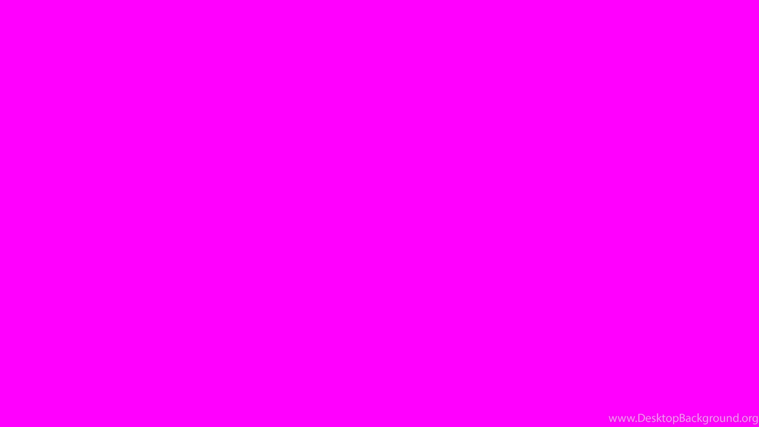 Fuchsia Fondos De Escritorio Fondo De Escritorio