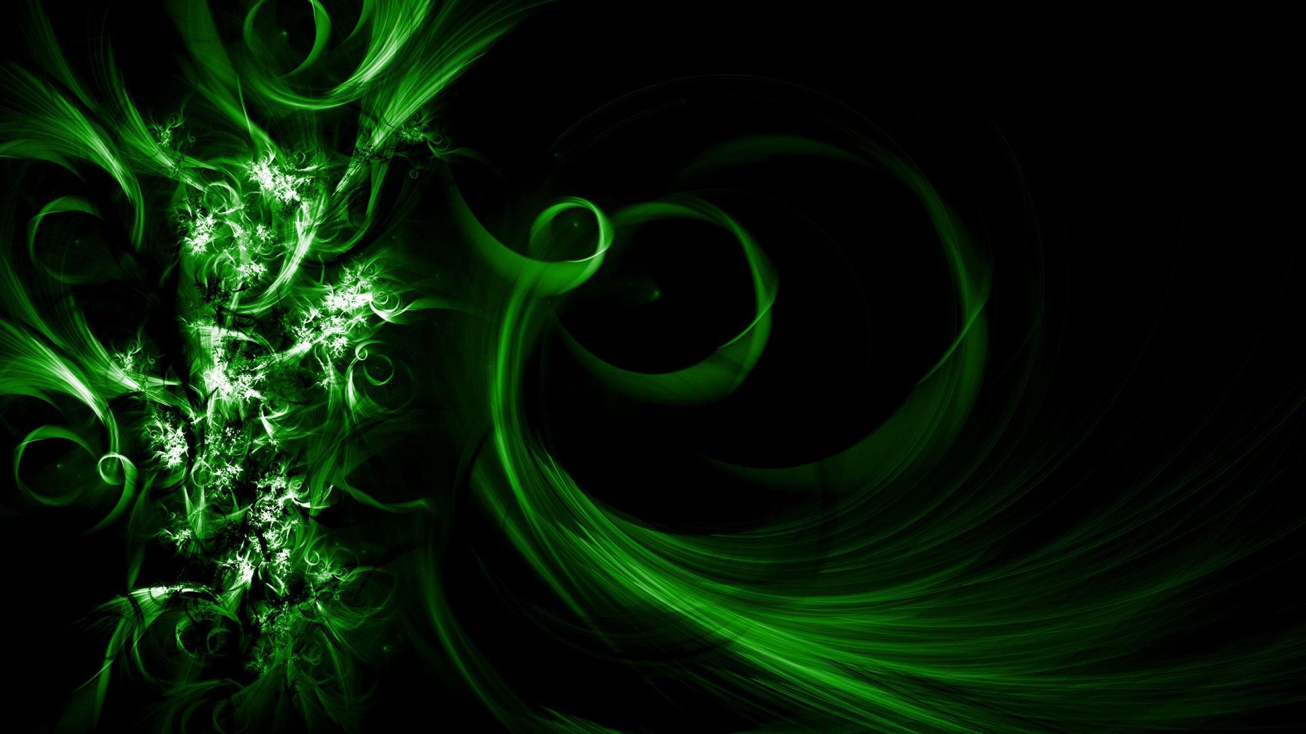 Fondo de pantalla verde oscuro 2560x1440