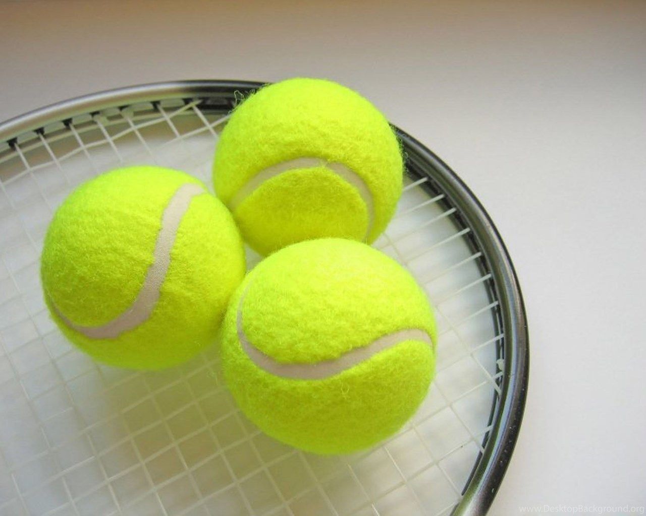 Angry Birds Wallpaper: TENNIS WALLPAPERS Fondo de escritorio