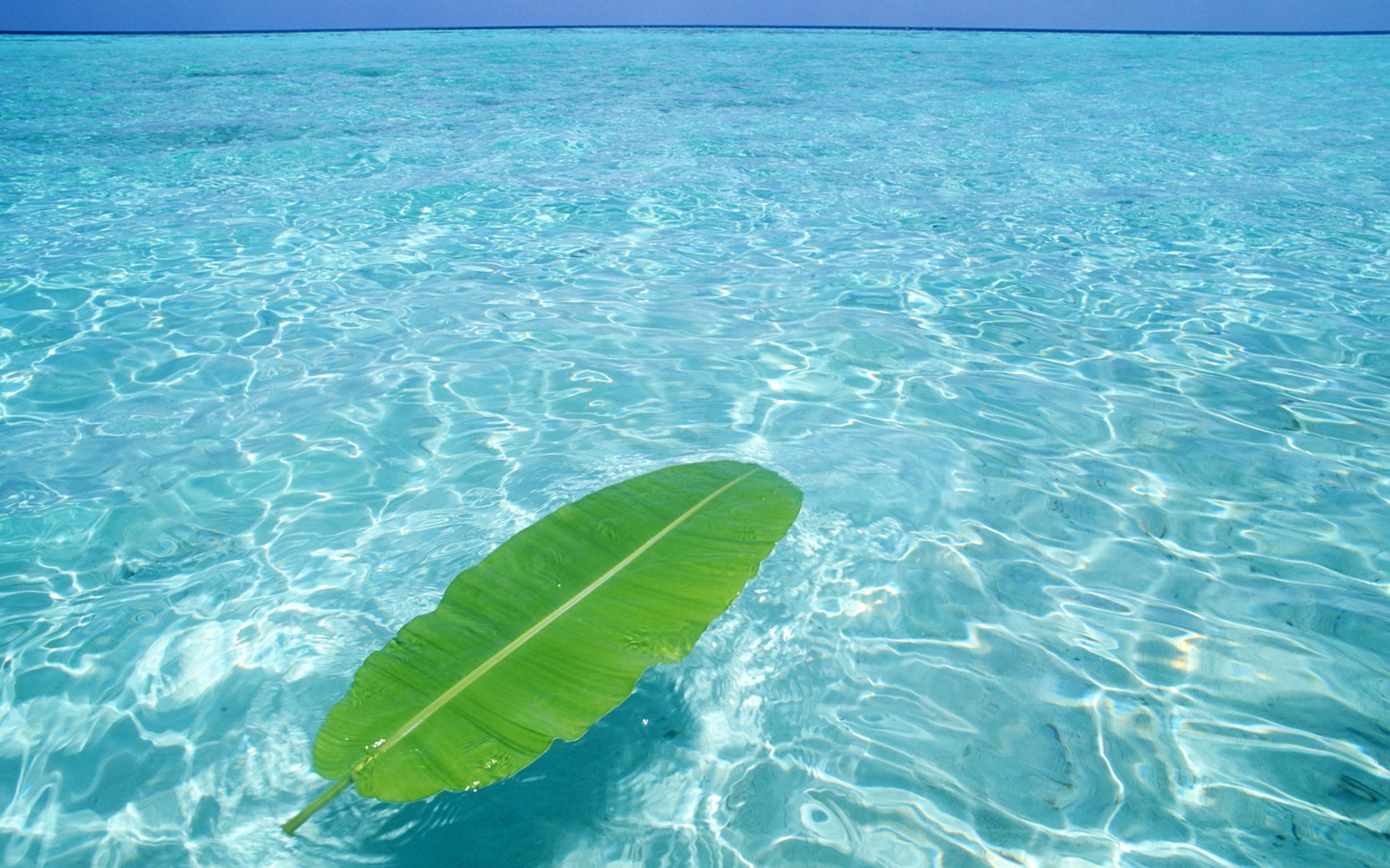 47+] Fondos de pantalla HD Water